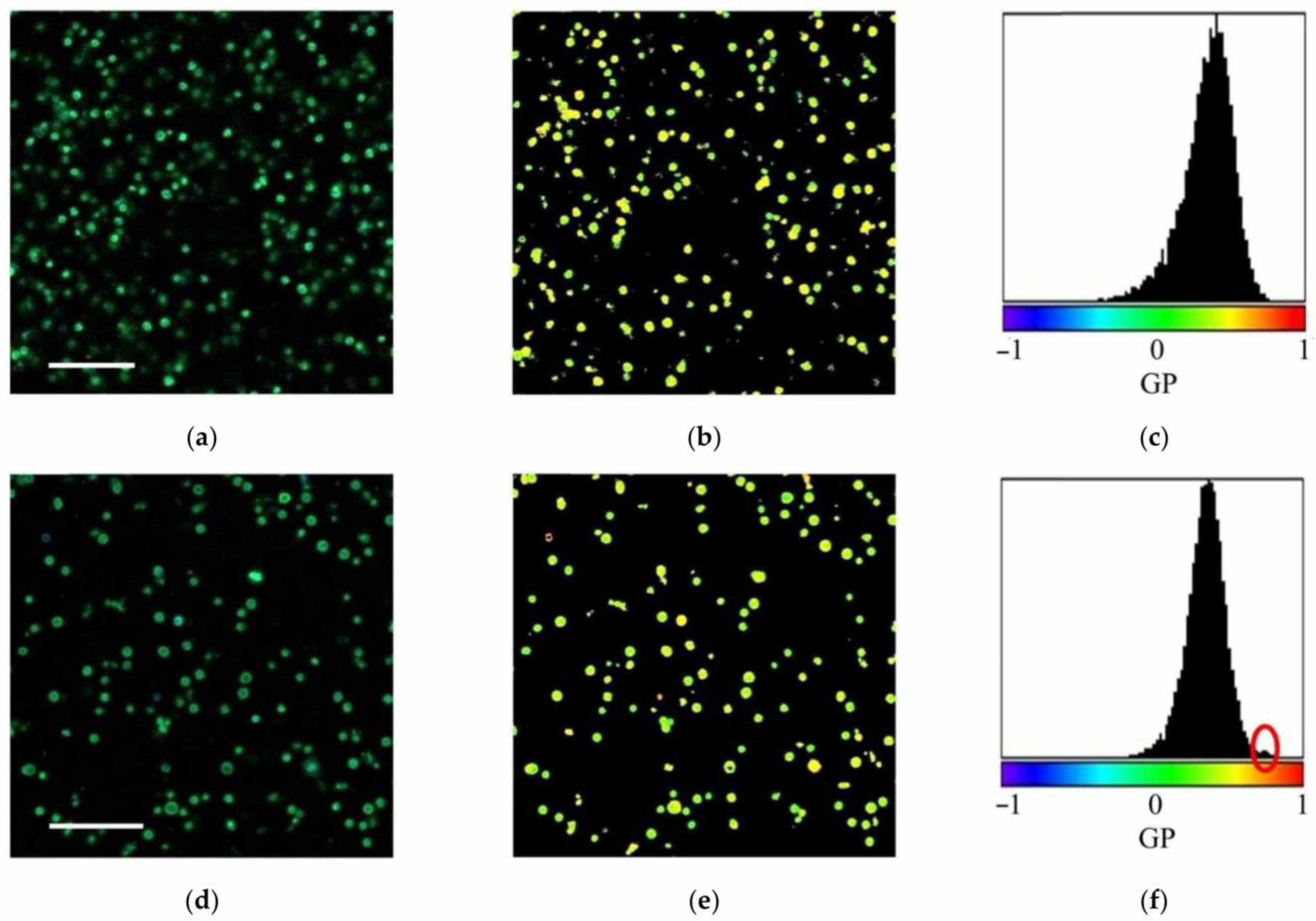 Membranes 15 00302 g005 Membranes 15 00302 g005