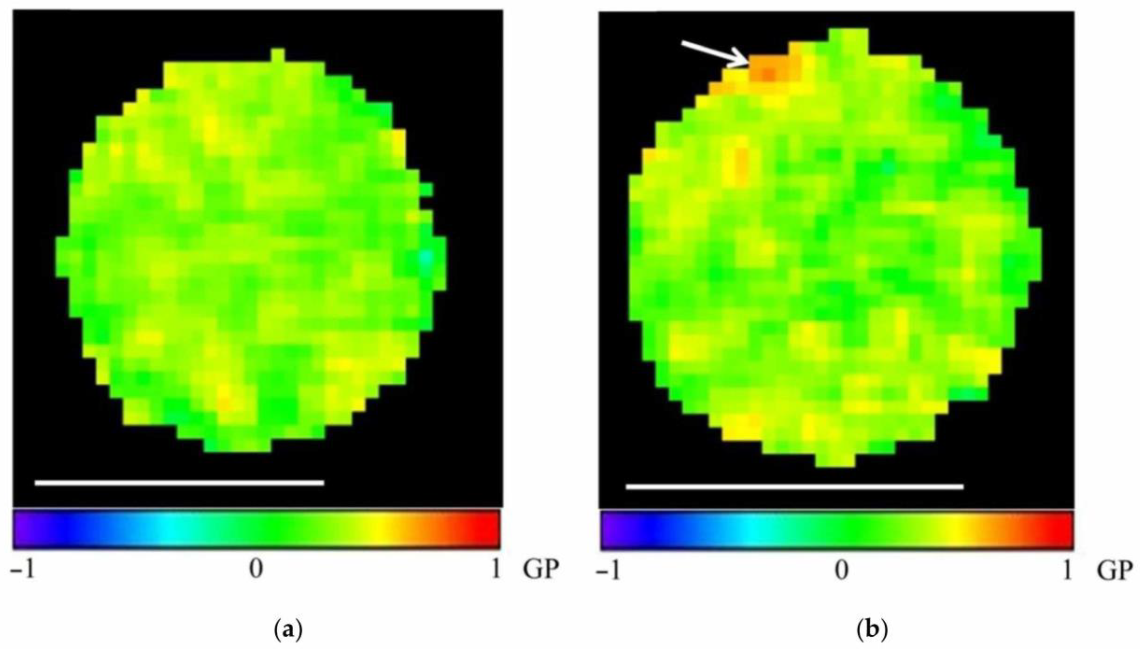 Membranes 15 00302 g006 Membranes 15 00302 g006