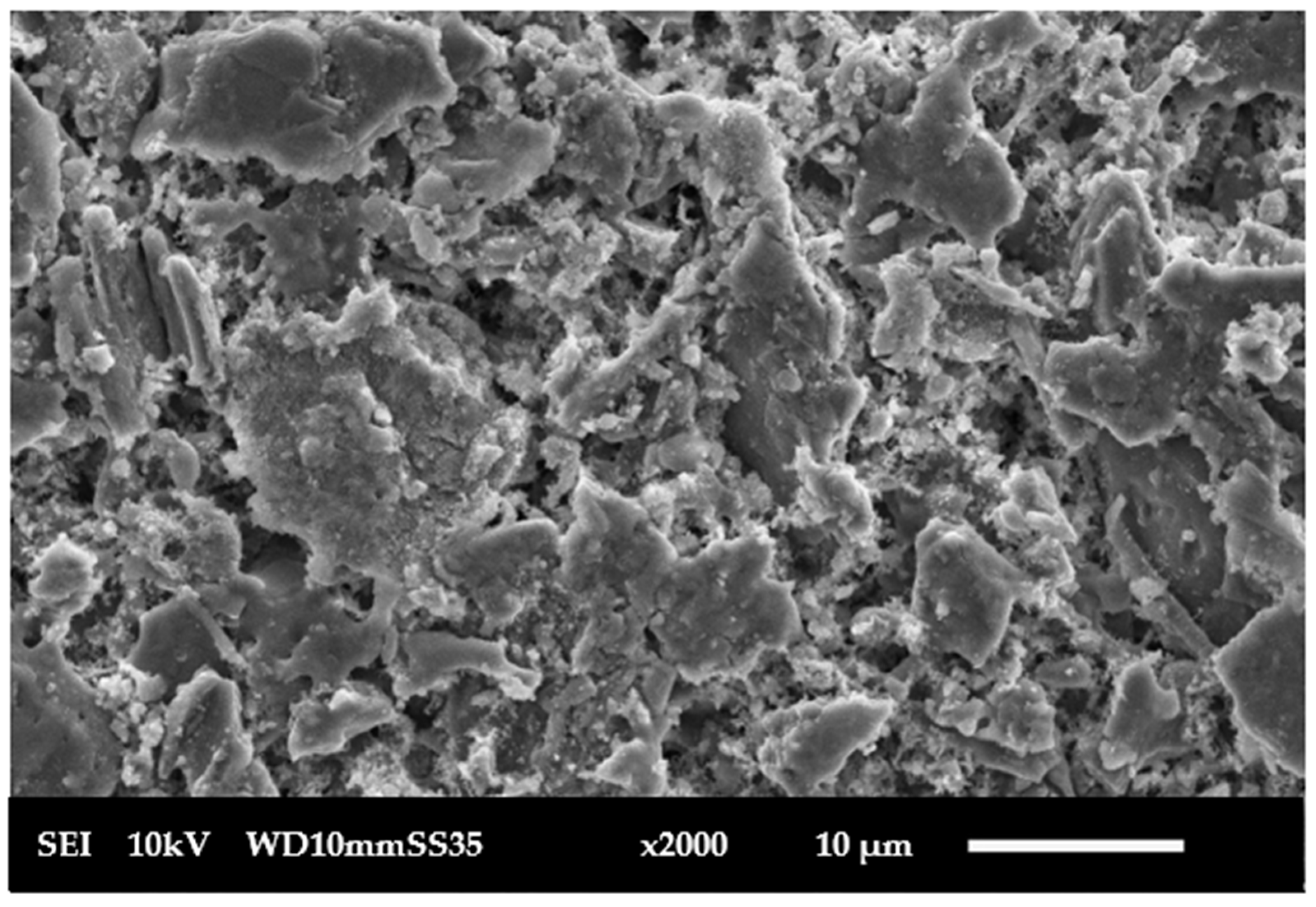 Membranes 15 00307 g006 Membranes 15 00307 g006