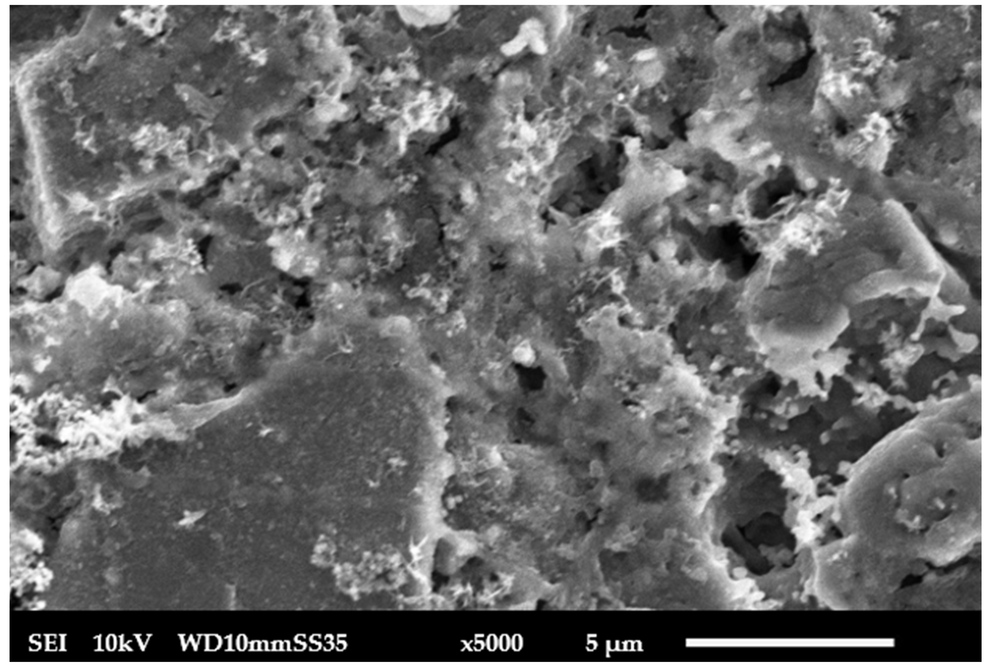 Membranes 15 00307 g007 Membranes 15 00307 g007