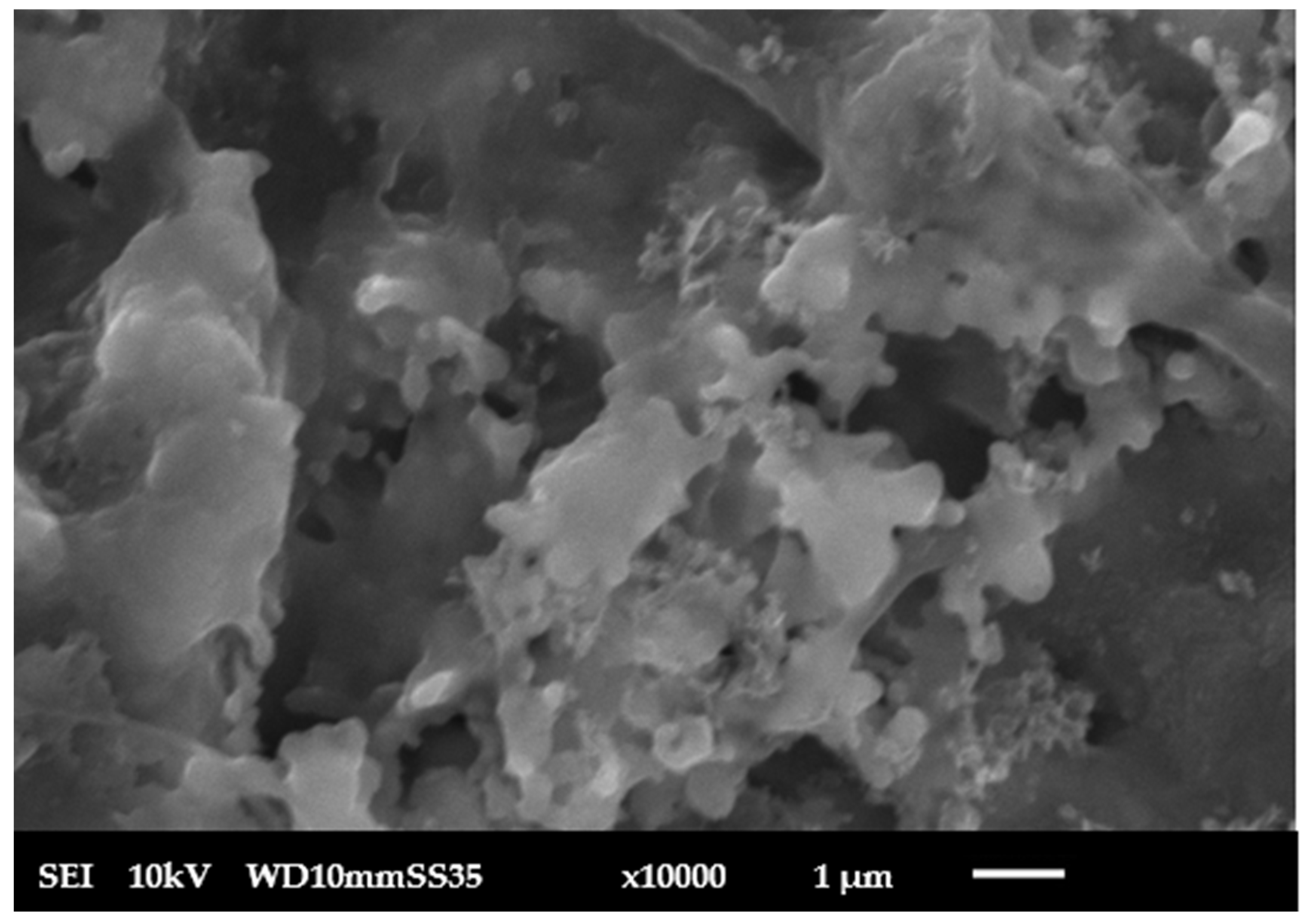 Membranes 15 00307 g008 Membranes 15 00307 g008