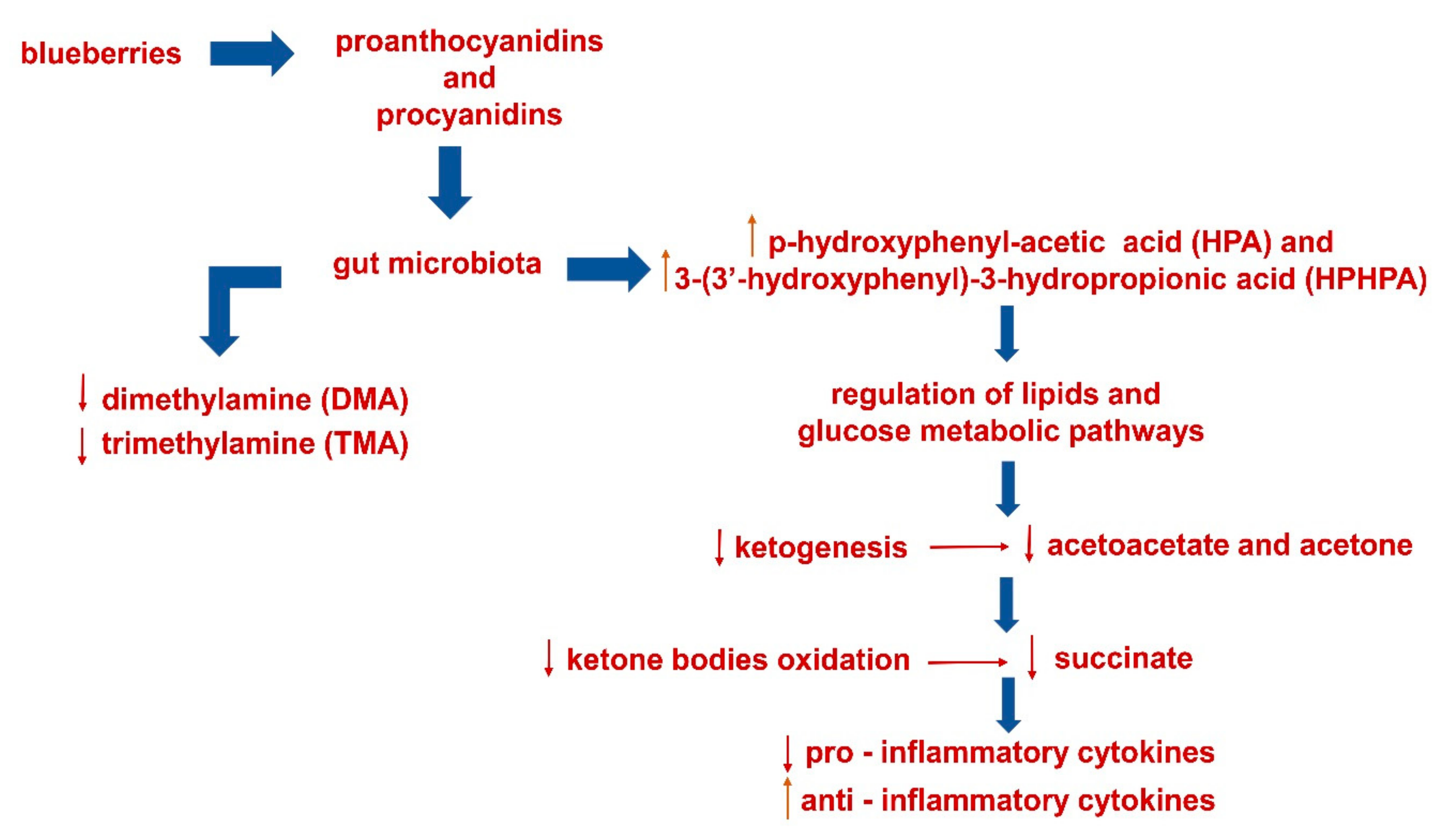 https://www.mdpi.com/metabolites/metabolites-09-00138/article_deploy/html/images/metabolites-09-00138-sch001.png