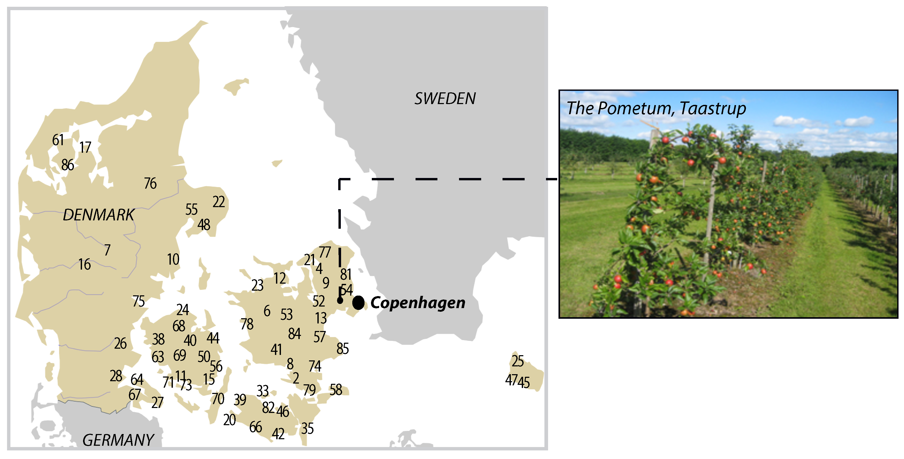 Metabolites | Free Full-Text | Ancient Danish Apple Cultivars—A  Comprehensive Metabolite and Sensory Profiling of Apple Juices