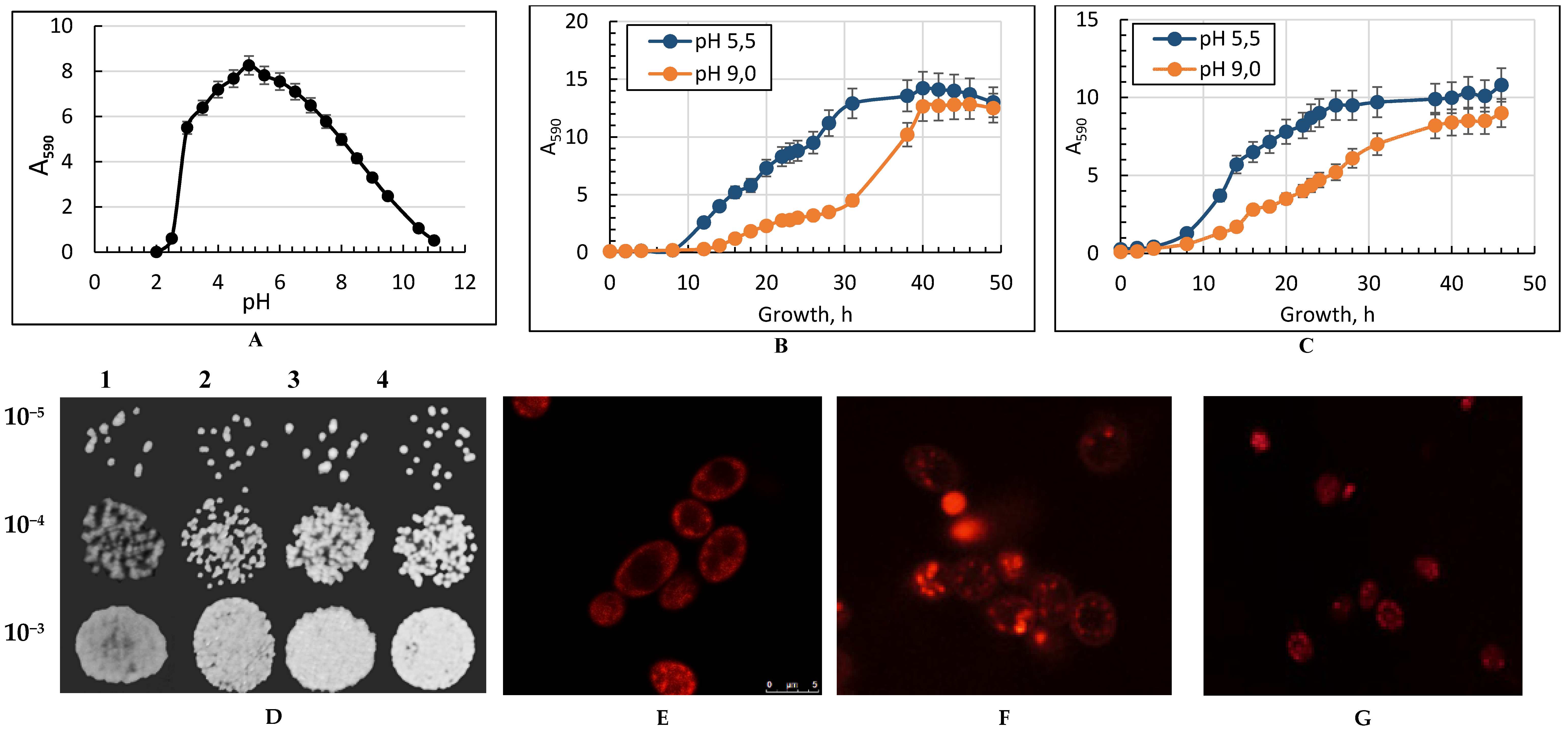 Metabolites 09 00307 g001