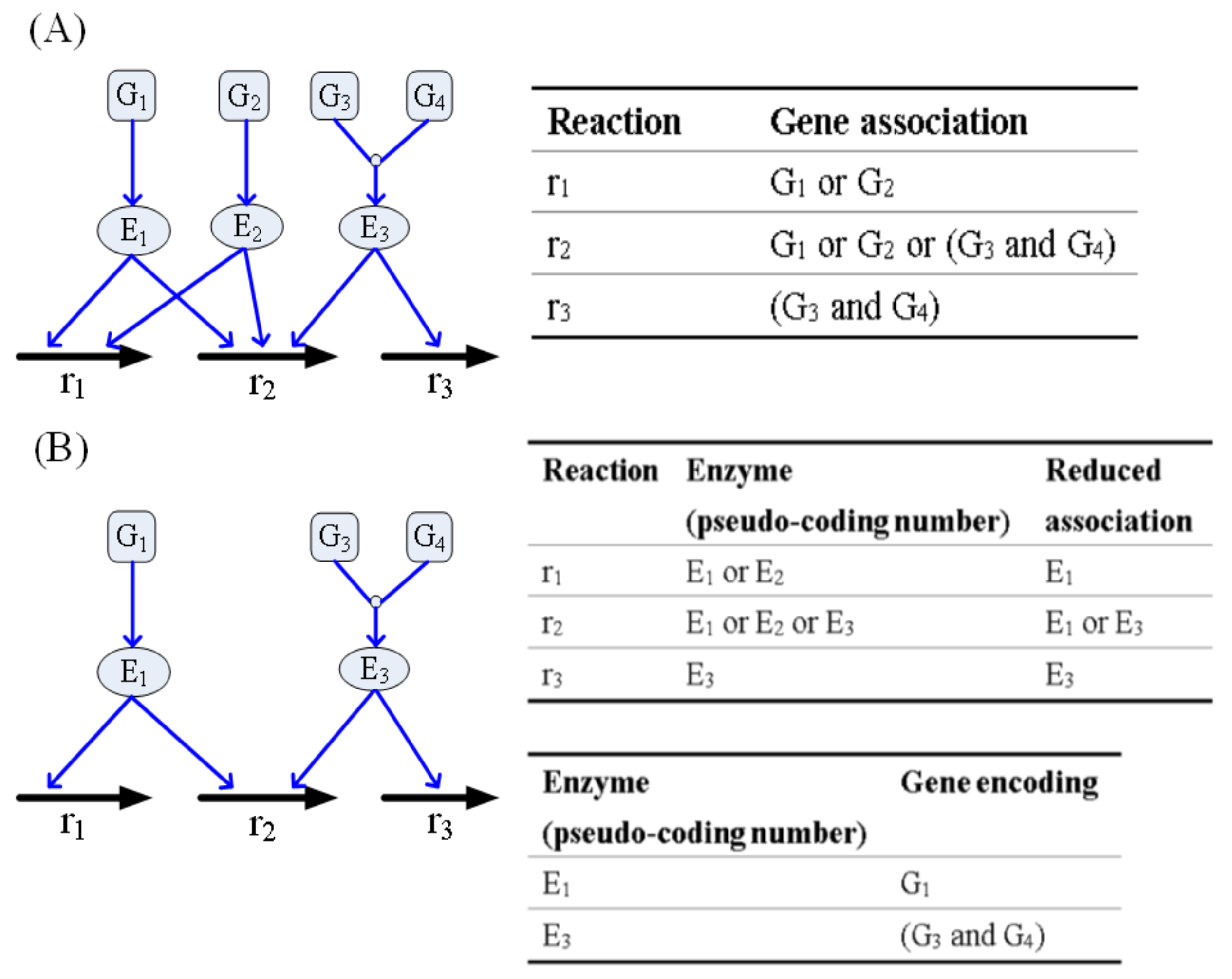 Metabolites Free Full Text Genome Scale Metabolic Modeling With Protein Expressions Of Normal And Cancerous Colorectal Tissues For Oncogene Inference Html