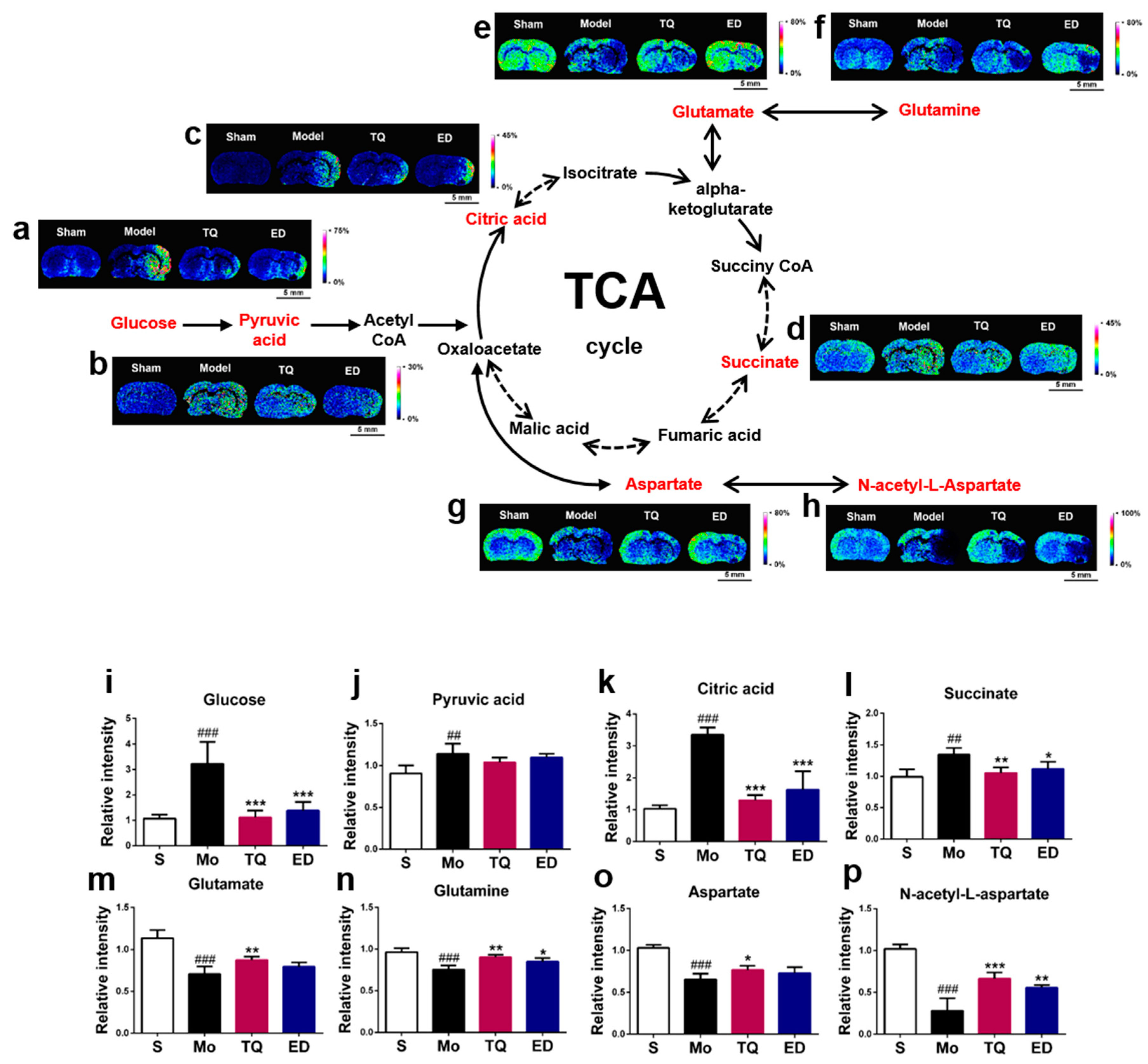 Metabolites 10 00027 g003