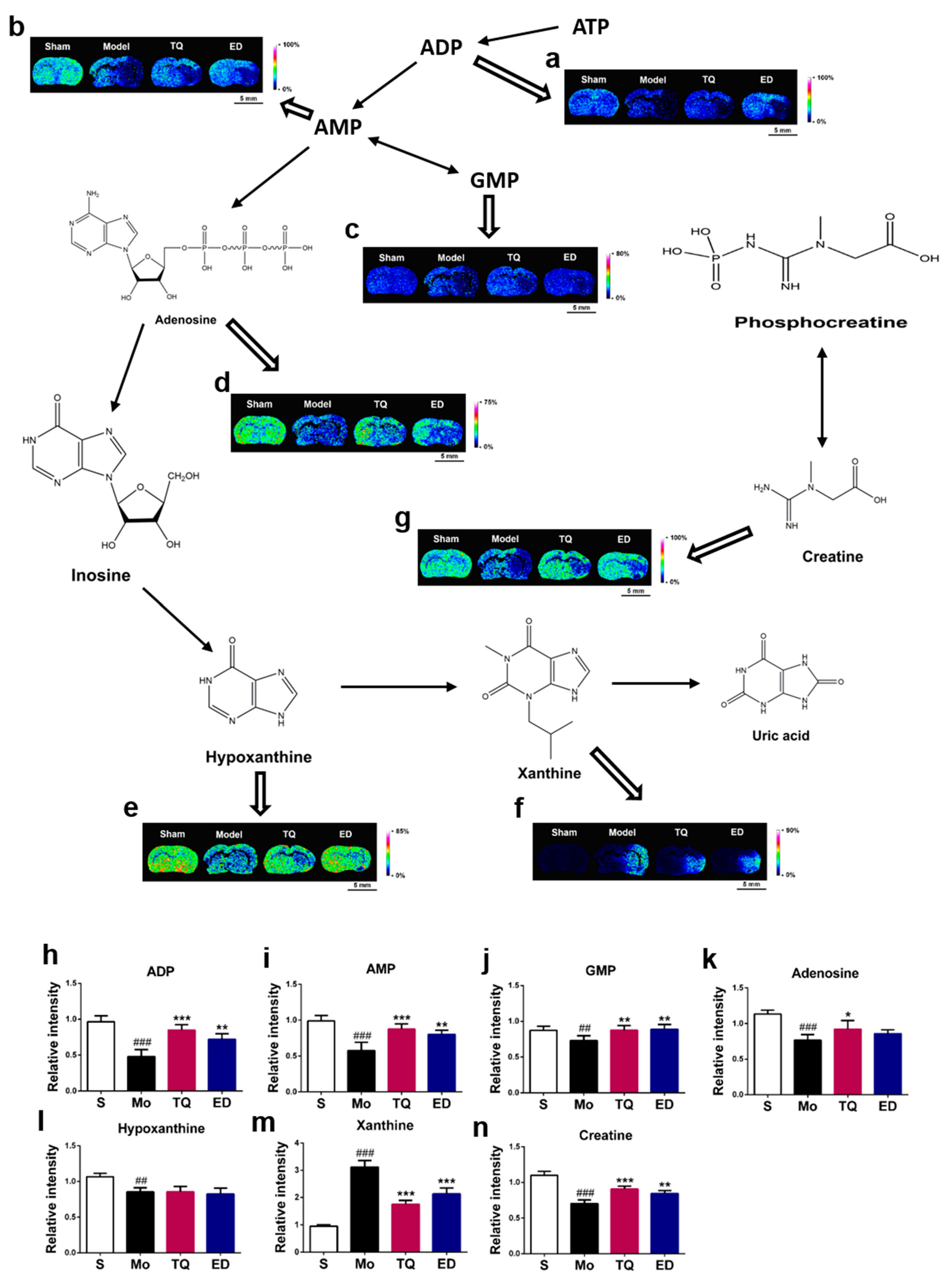 Metabolites 10 00027 g004
