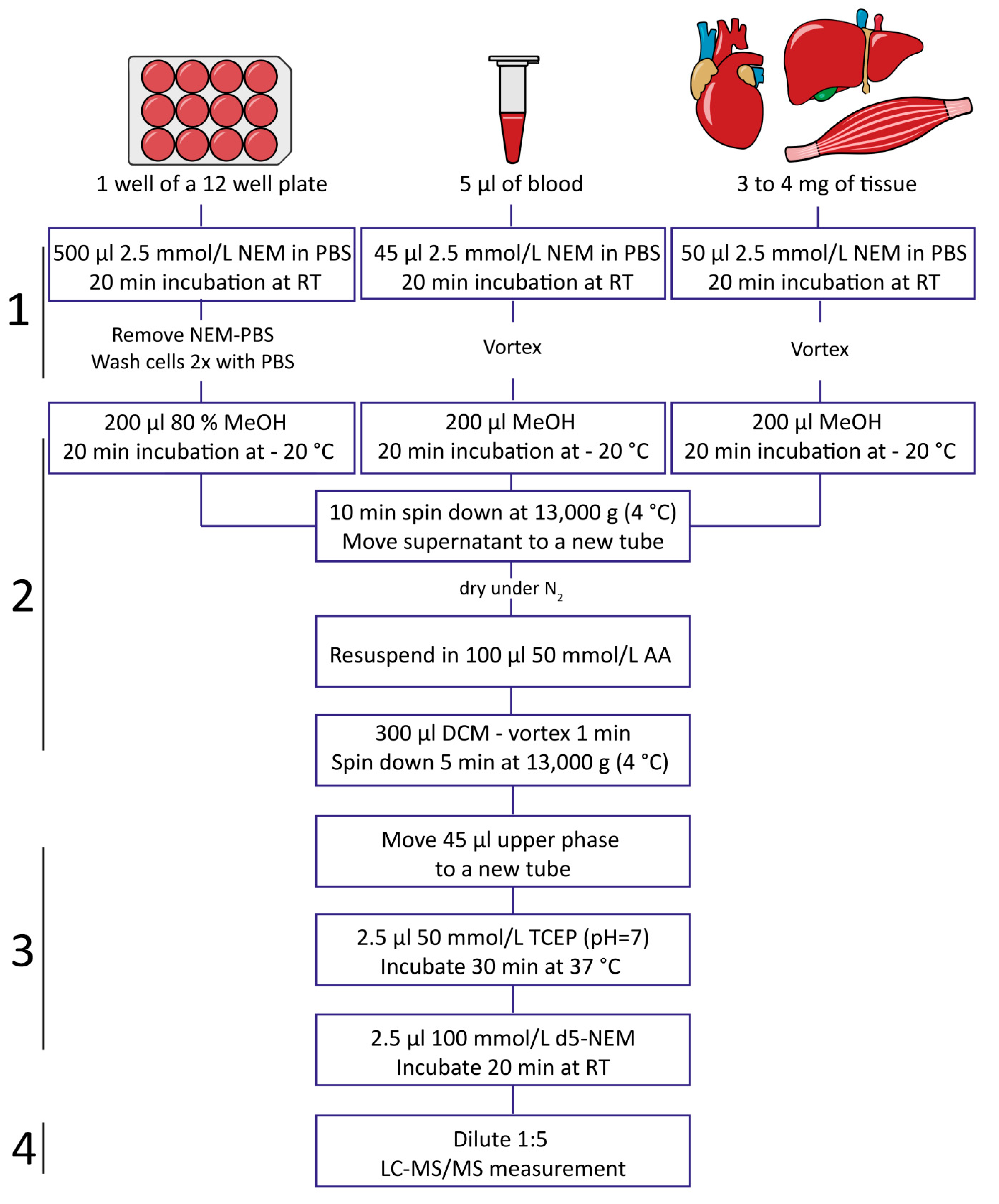 Metabolites 10 00071 g001