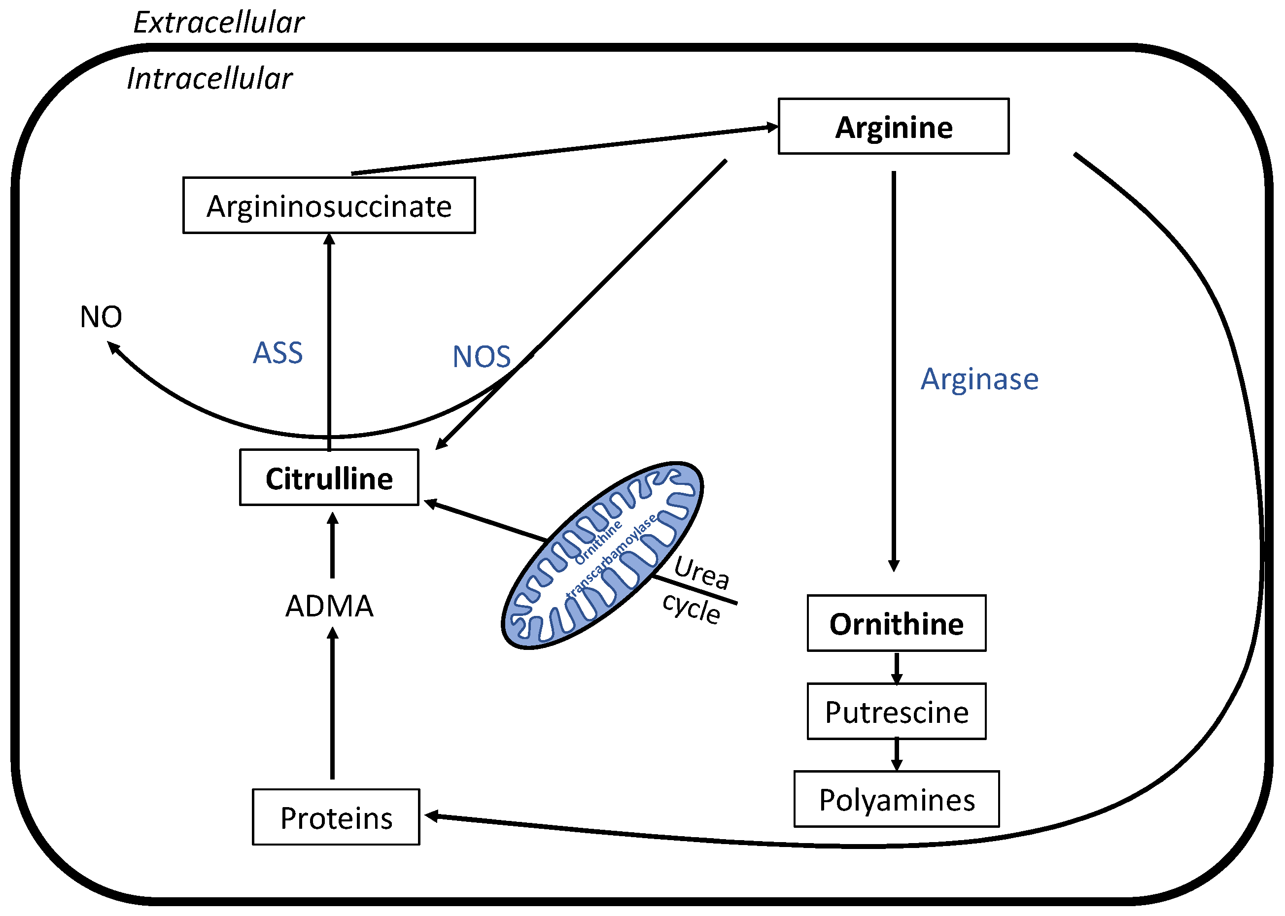 Metabolites 10 00087 g005 Metabolites 10 00087 g005