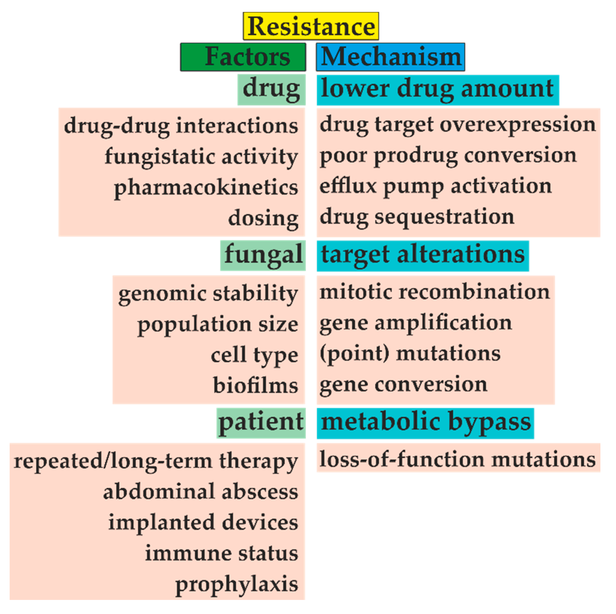 Metabolites Free FullText Antifungal Drugs