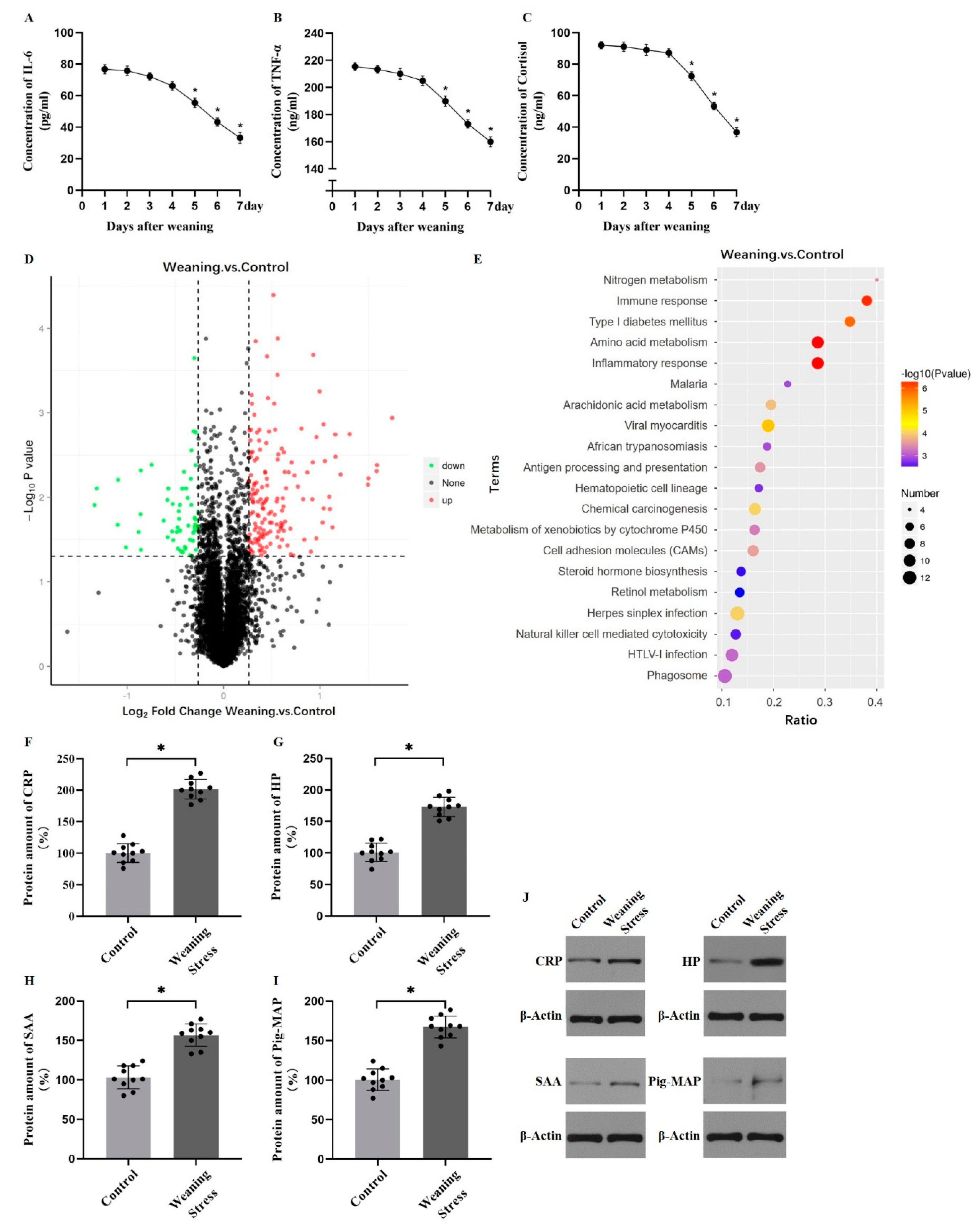 Metabolites 10 00146 g001