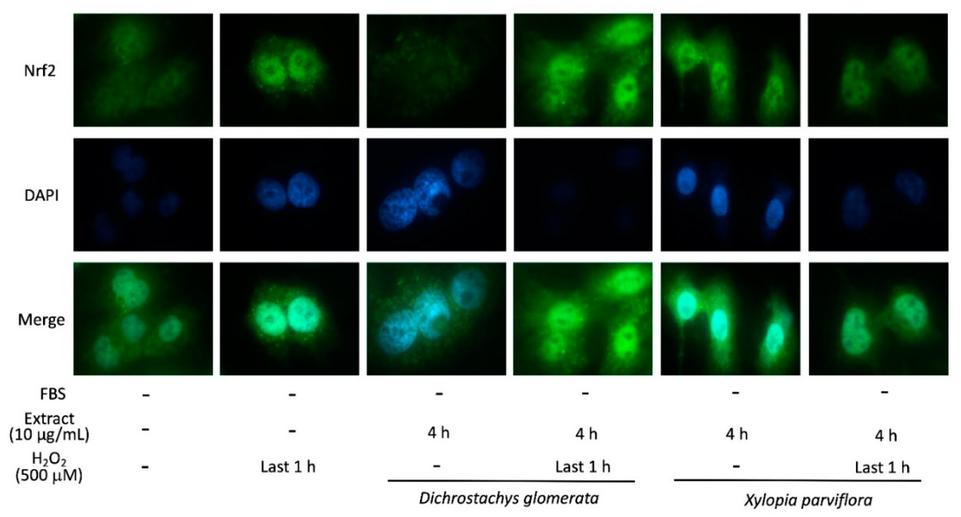 Metabolites 10 00182 g004 Metabolites 10 00182 g004