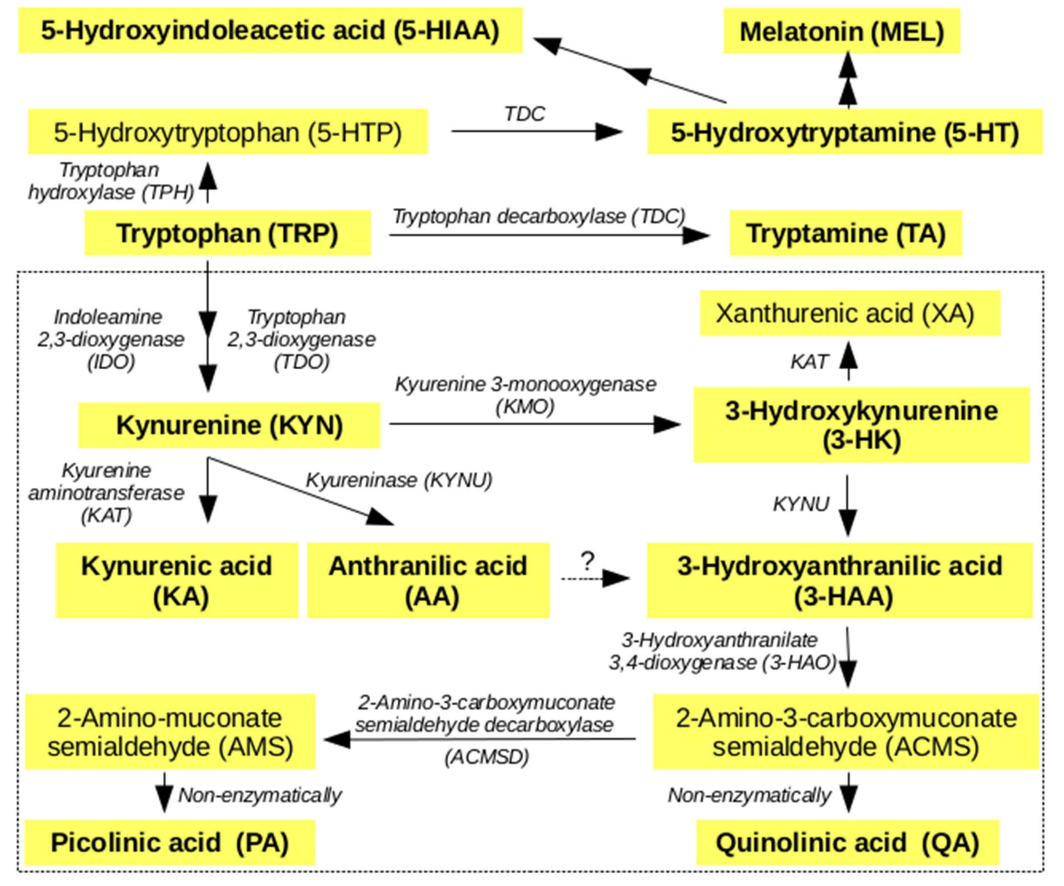 Metabolites 10 00208 g001
