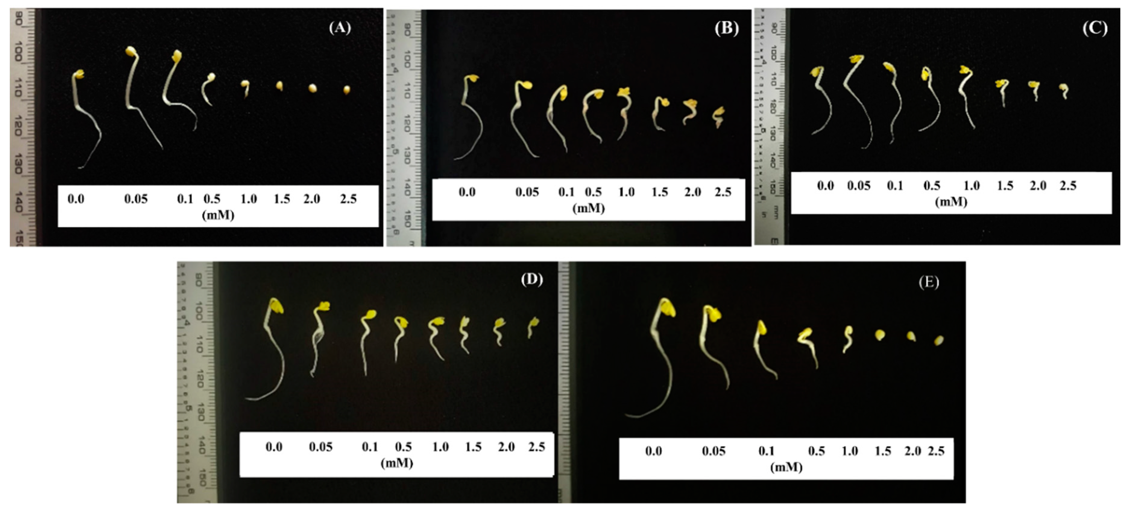 Metabolites 10 00244 g006 Metabolites 10 00244 g006