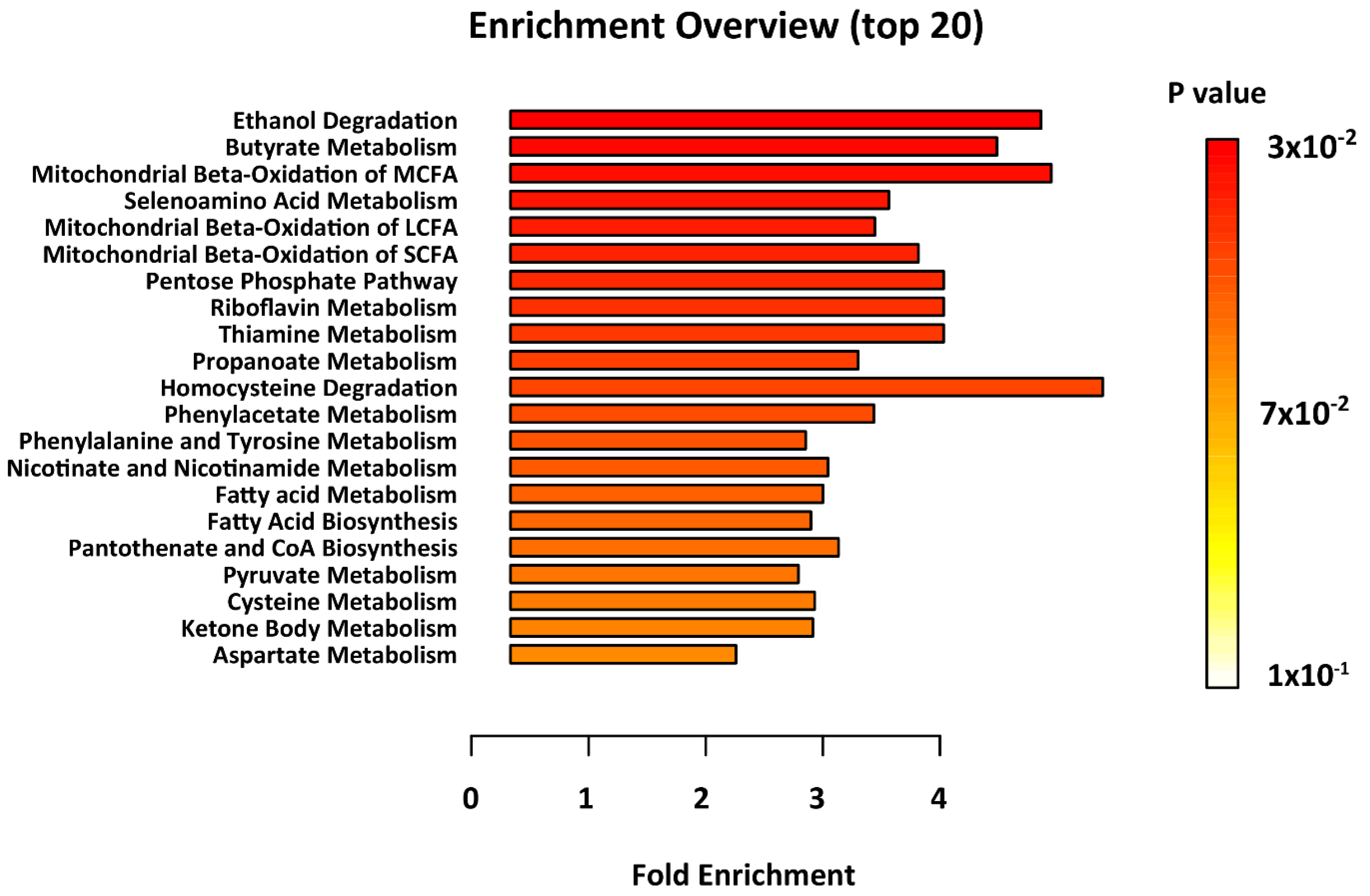 Metabolites 10 00261 g002