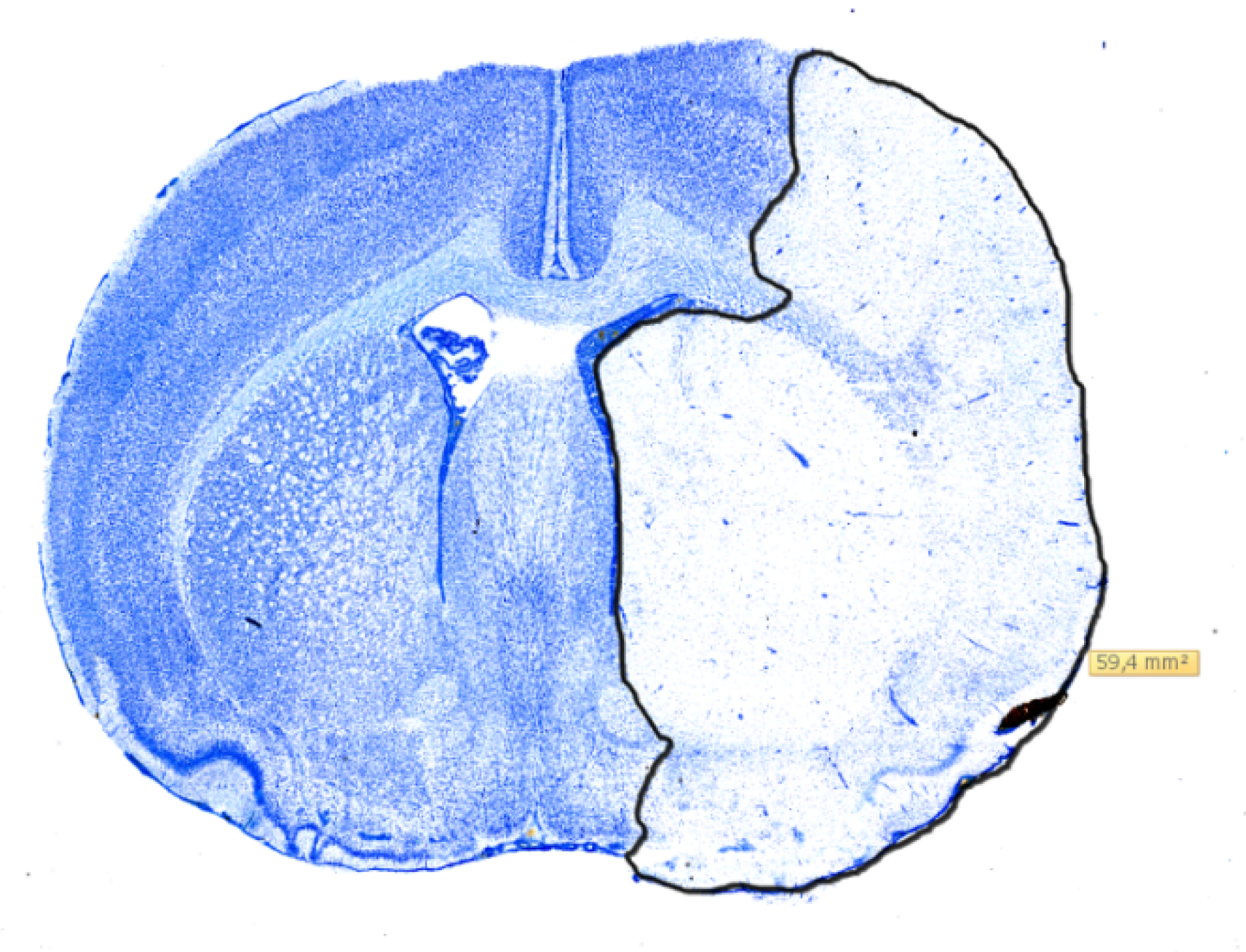 Metabolites 10 00287 g005 Metabolites 10 00287 g005