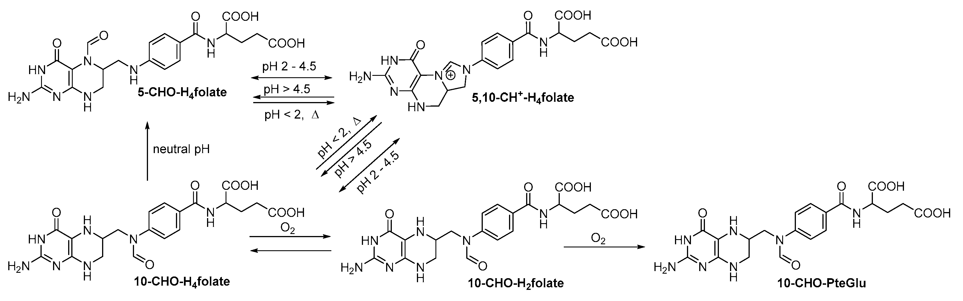 Metabolites 10 00301 g002