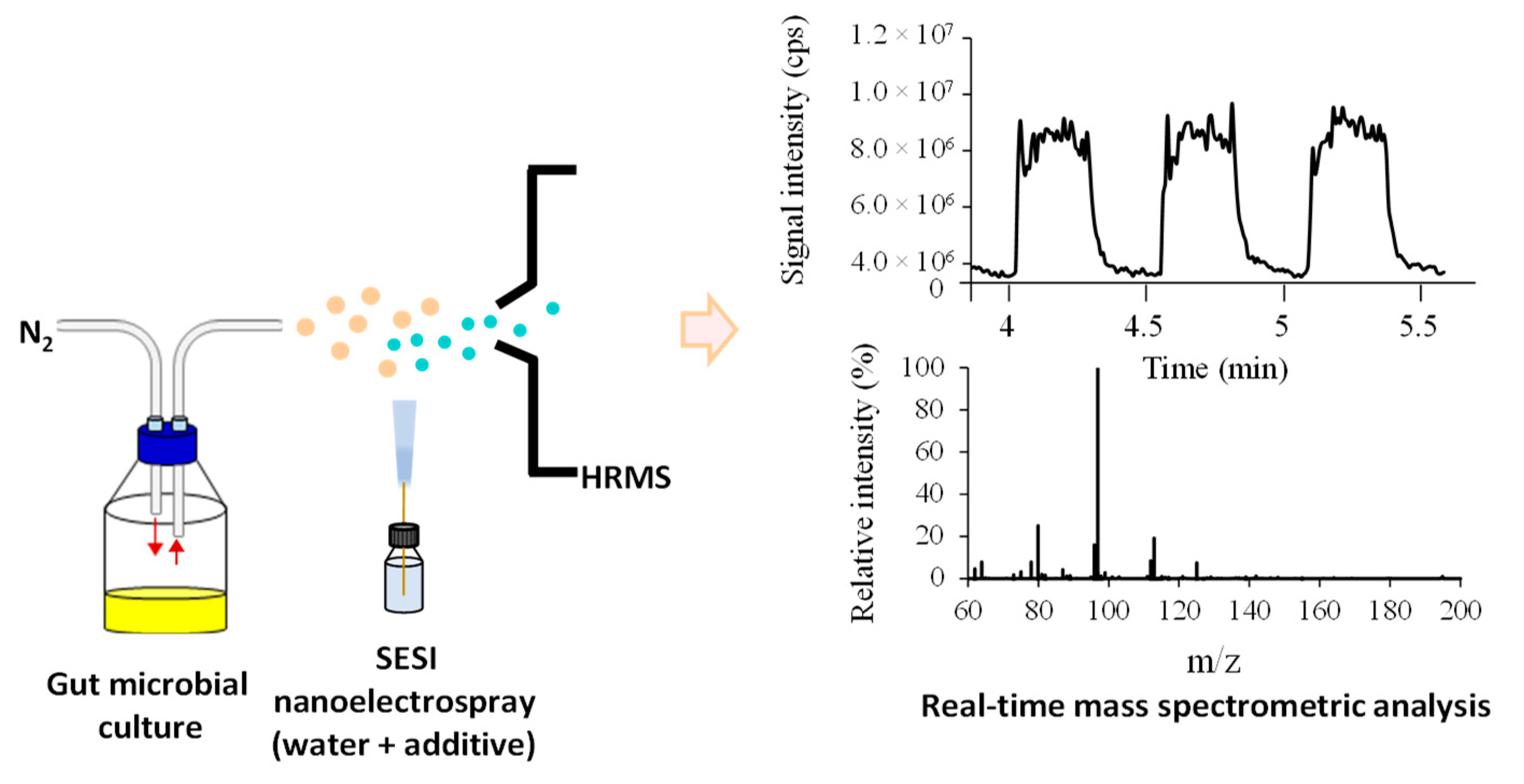 Mass spectrometry analysis