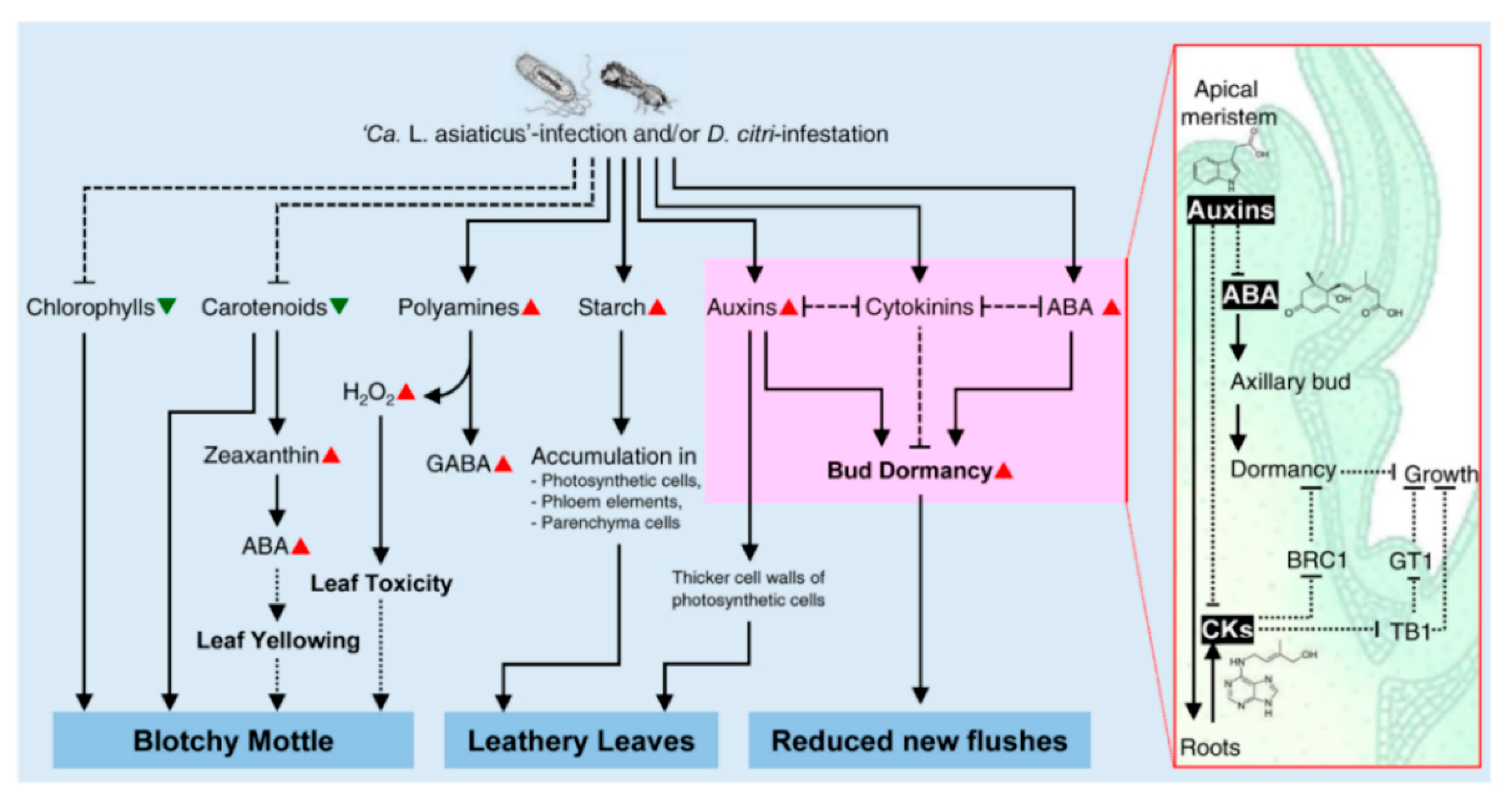 Metabolites 10 00409 g003 Metabolites 10 00409 g003