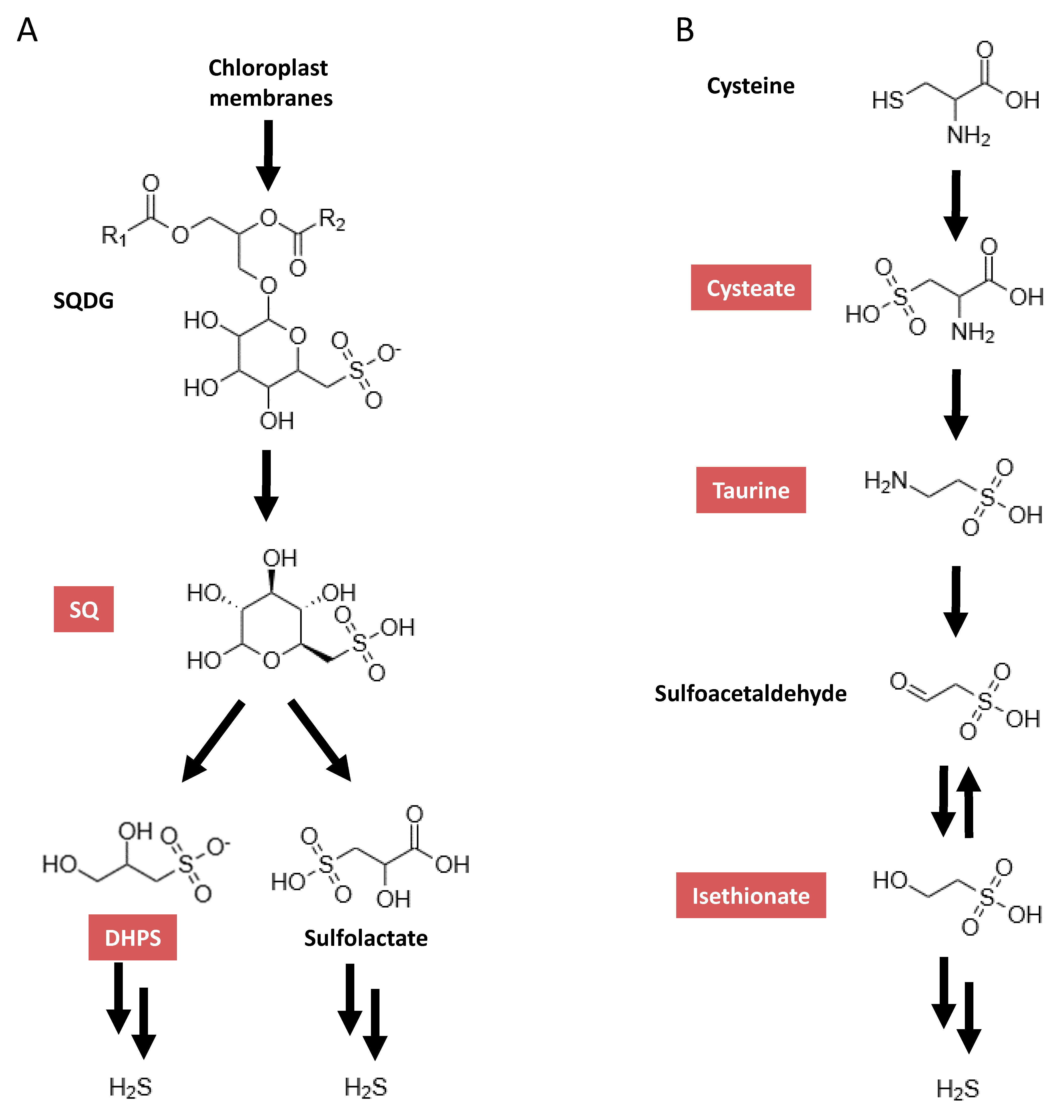 Metabolites 10 00430 g001