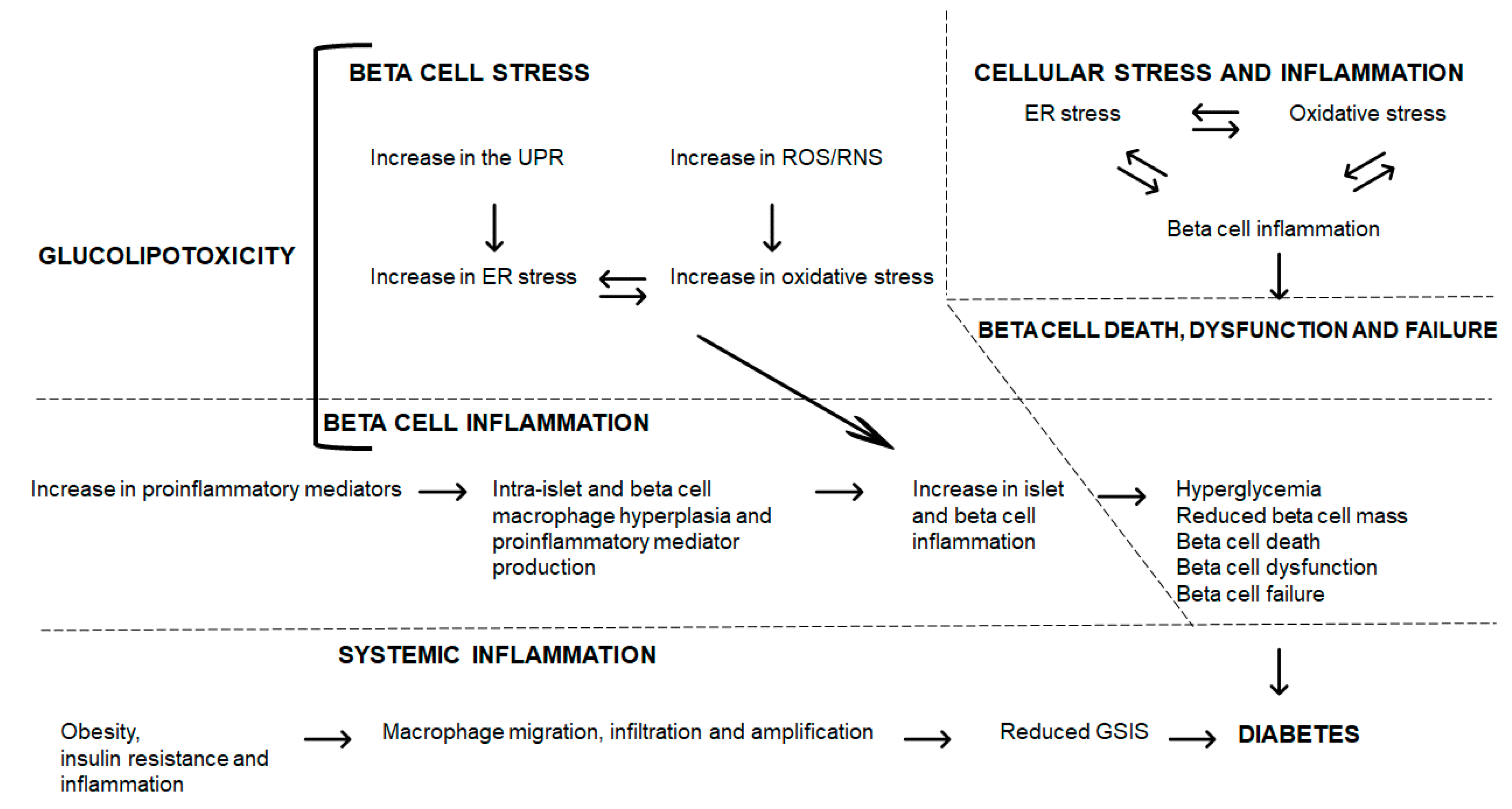 Metabolites 10 00444 g002
