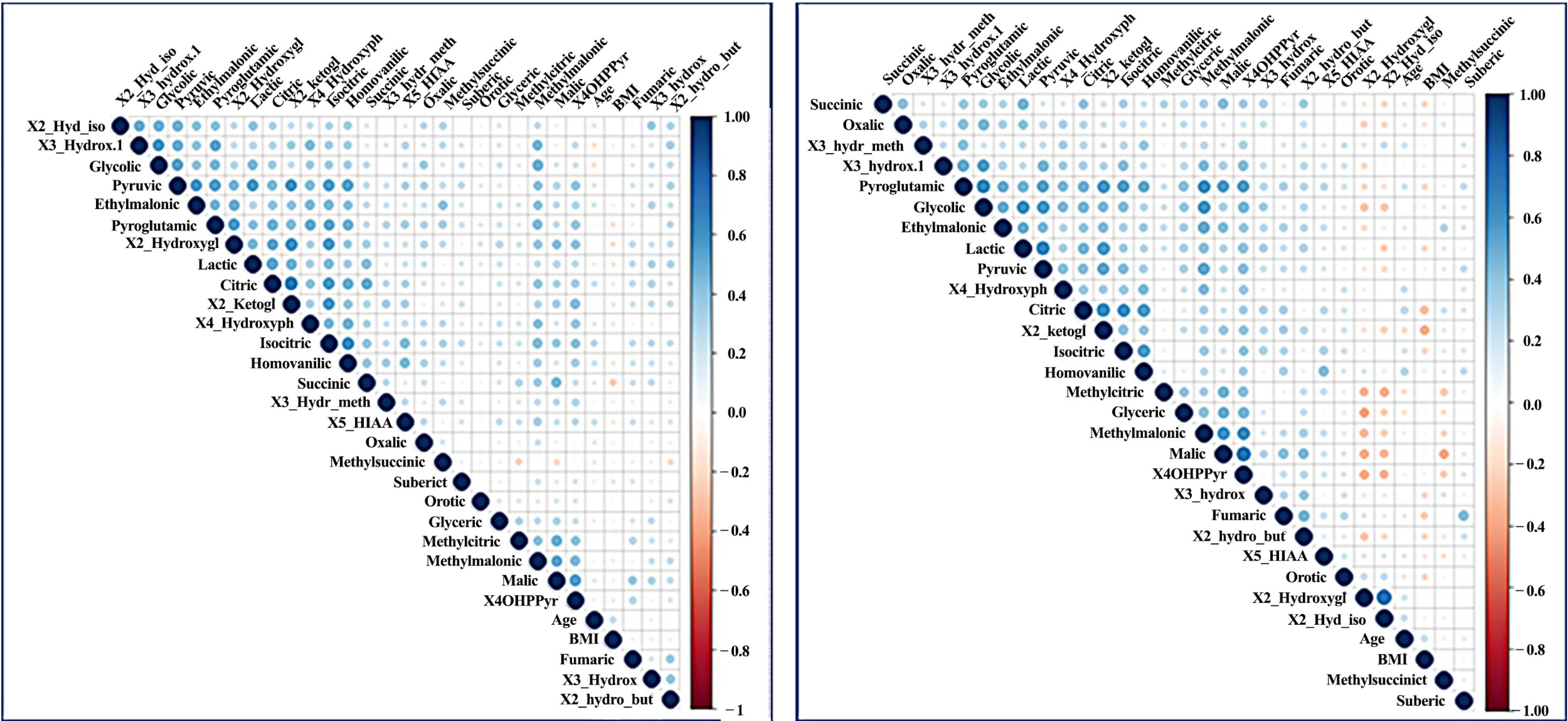 Metabolites 10 00502 g003