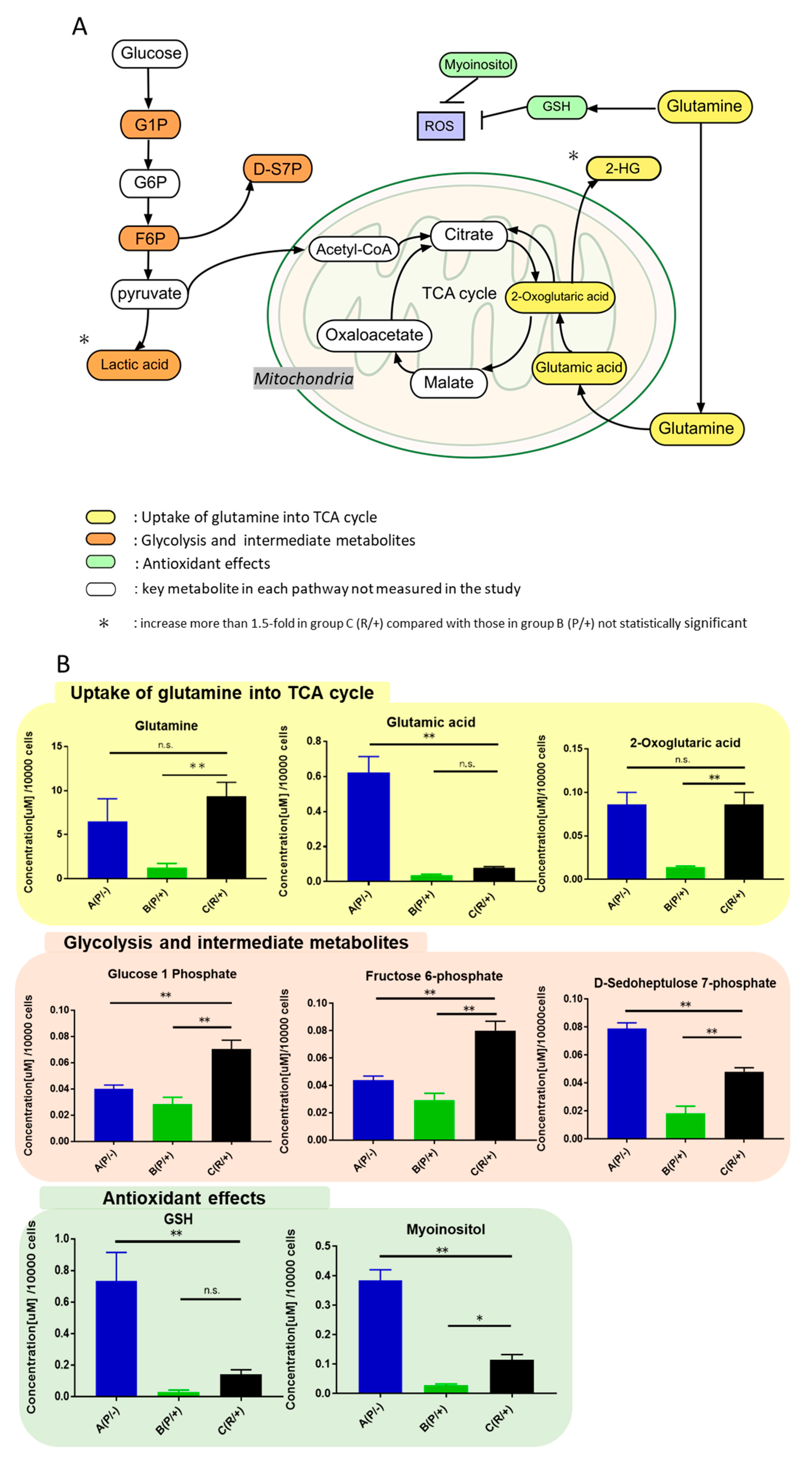 Metabolites 11 00001 g004