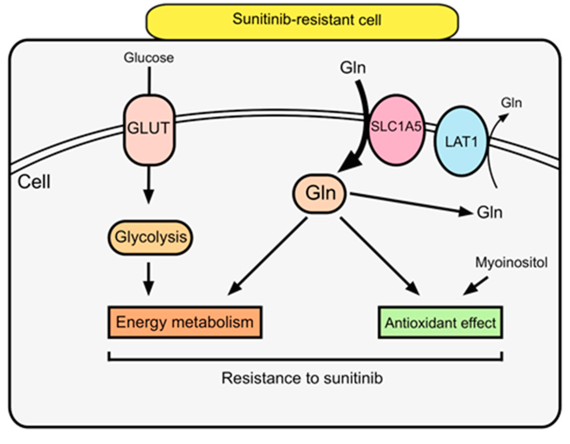 Metabolites 11 00001 g007