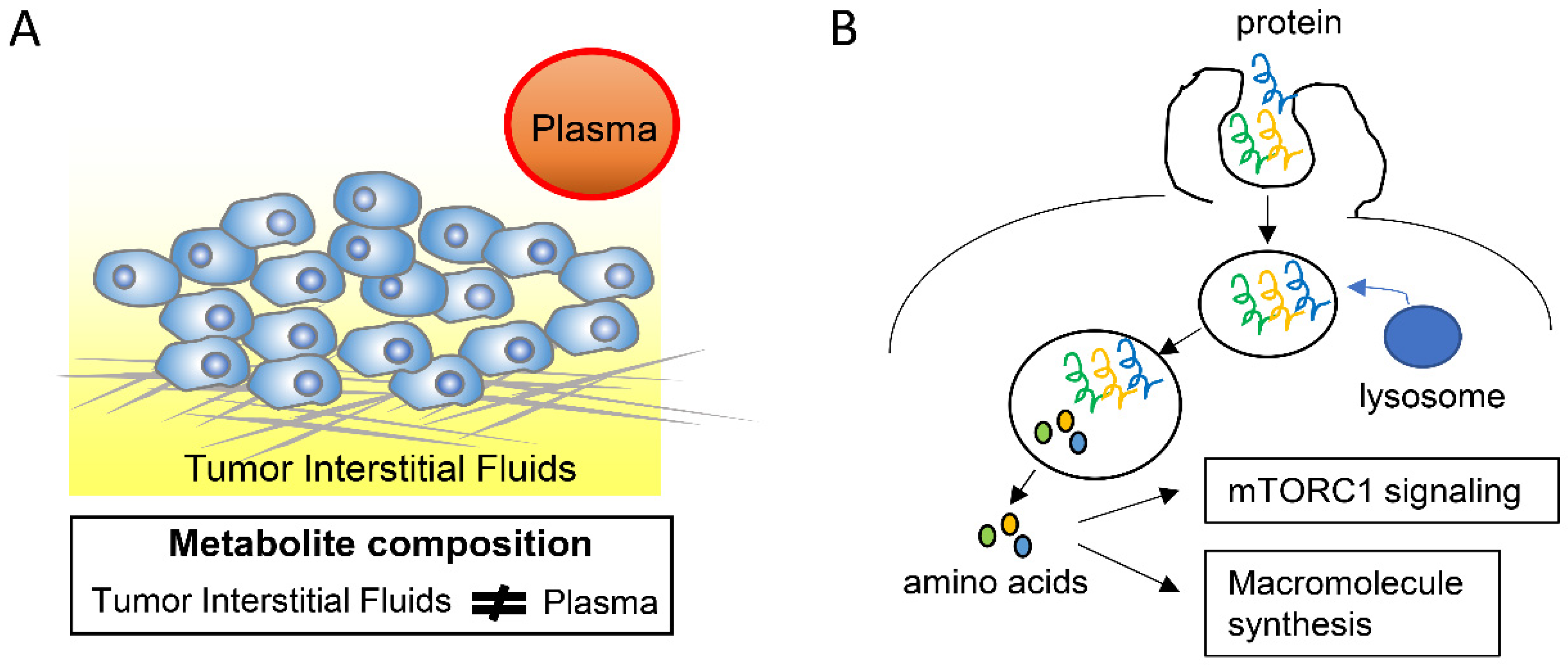 Metabolites Free Full Text Metabolic Reprogramming Of Cancer Cells During Tumor Progression