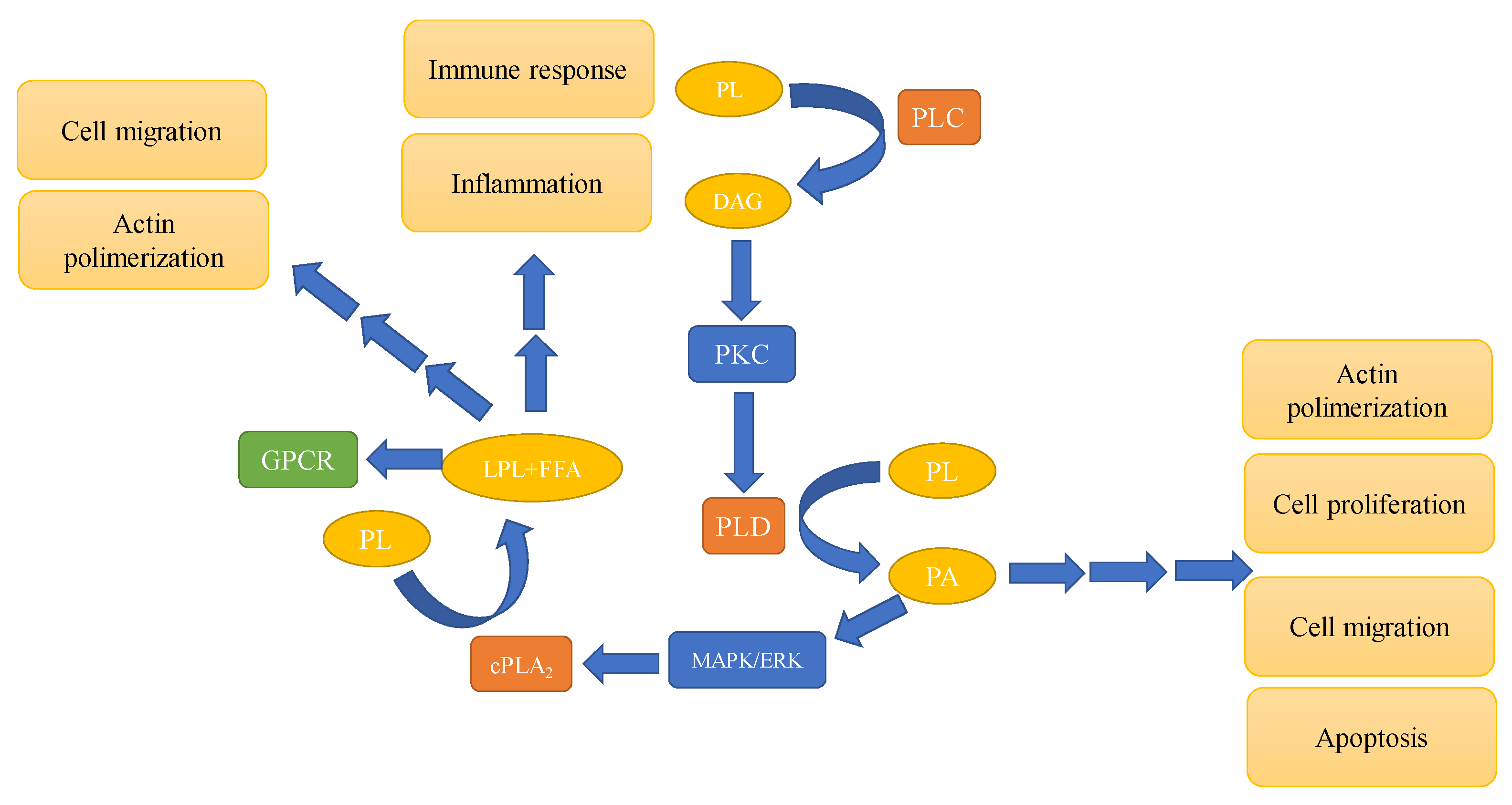 Metabolites 11 00032 g003 Metabolites 11 00032 g003