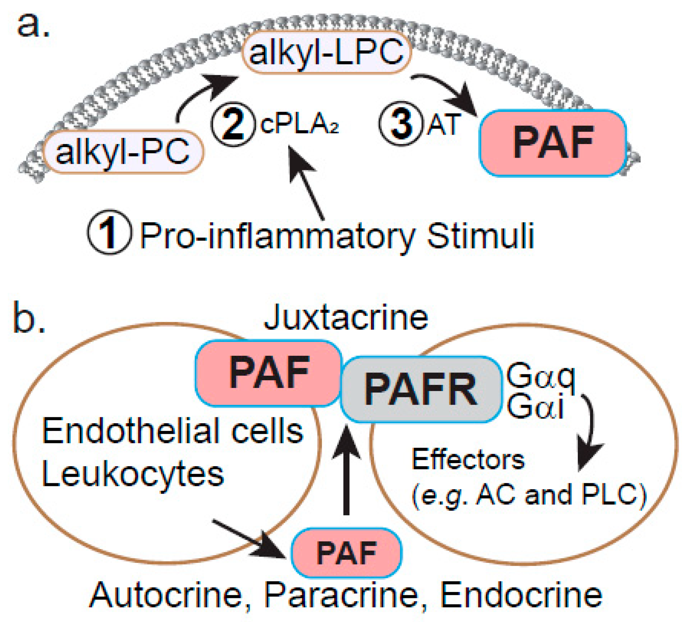 Metabolites 11 00041 g003