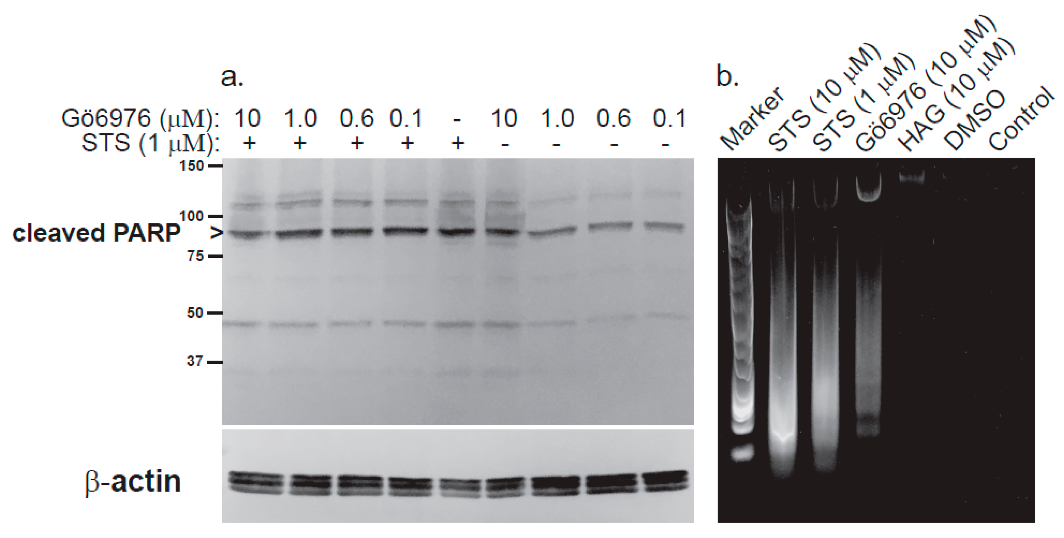 Metabolites 11 00041 g005
