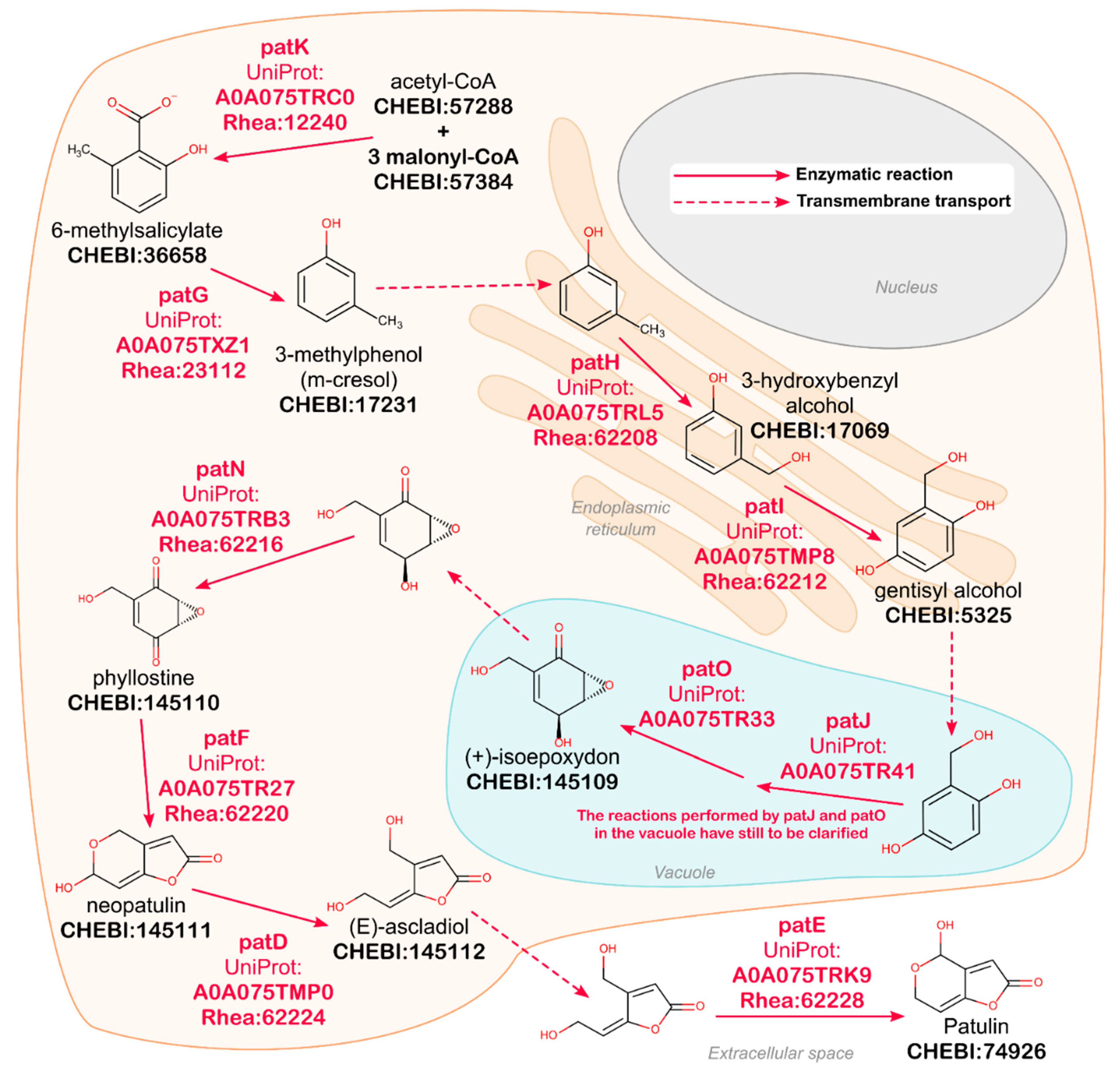Metabolites 11 00048 g003