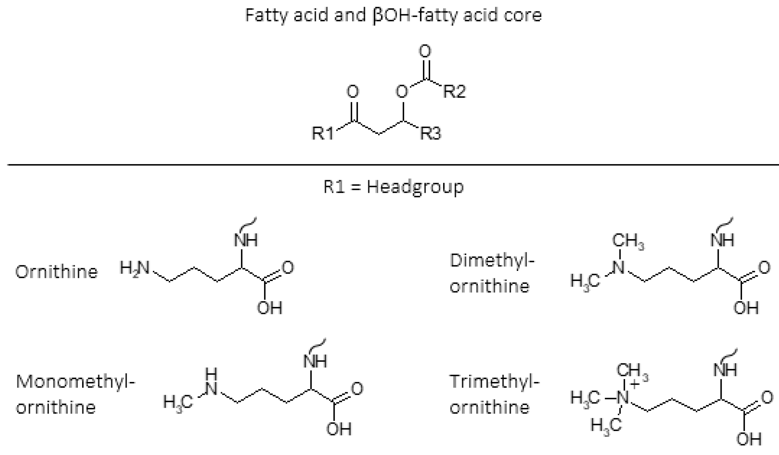 Metabolites 11 00049 g001 Metabolites 11 00049 g001