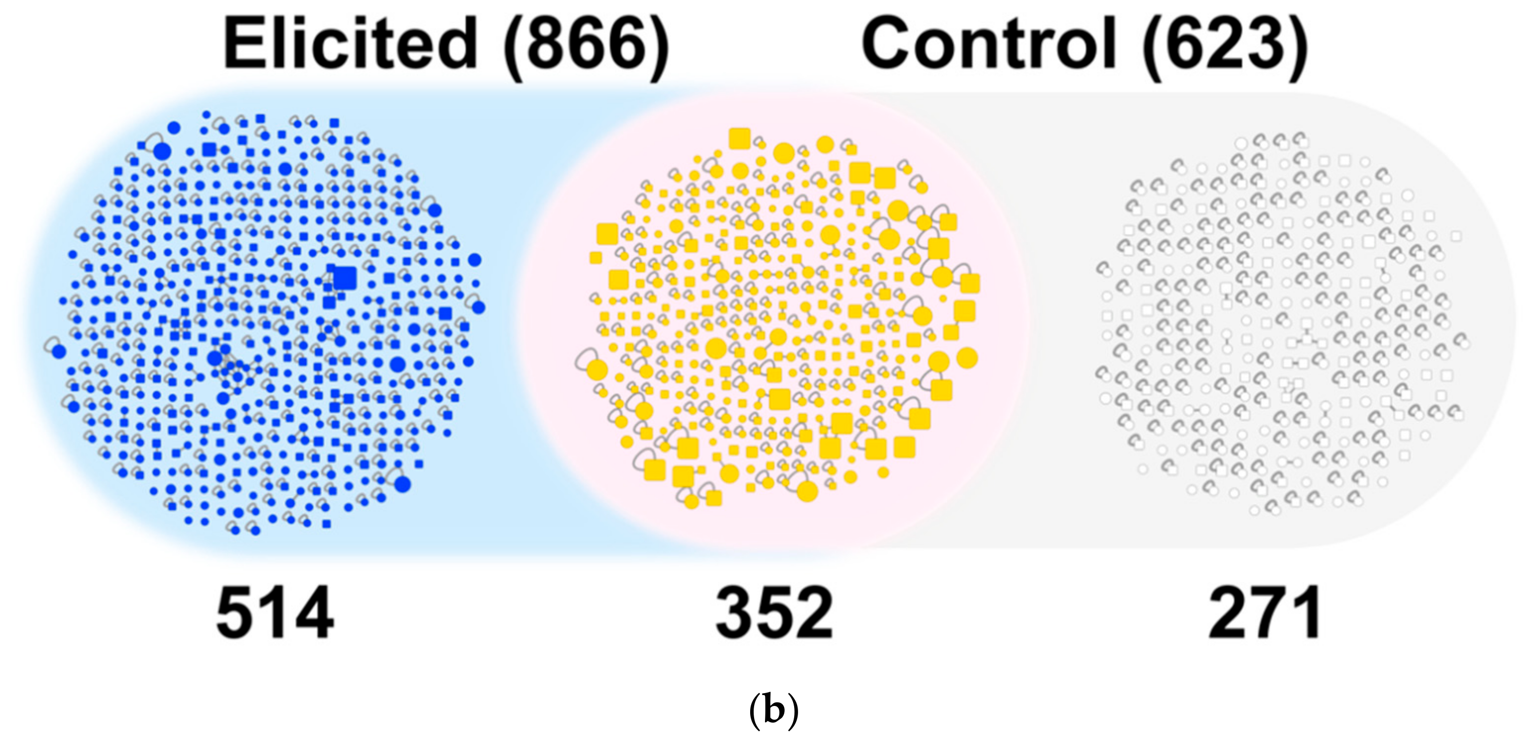 Discovery of Modified Metabolites, Secondary Metabolites, and Xenobiotics  by Structure-Oriented LC–MS/MS