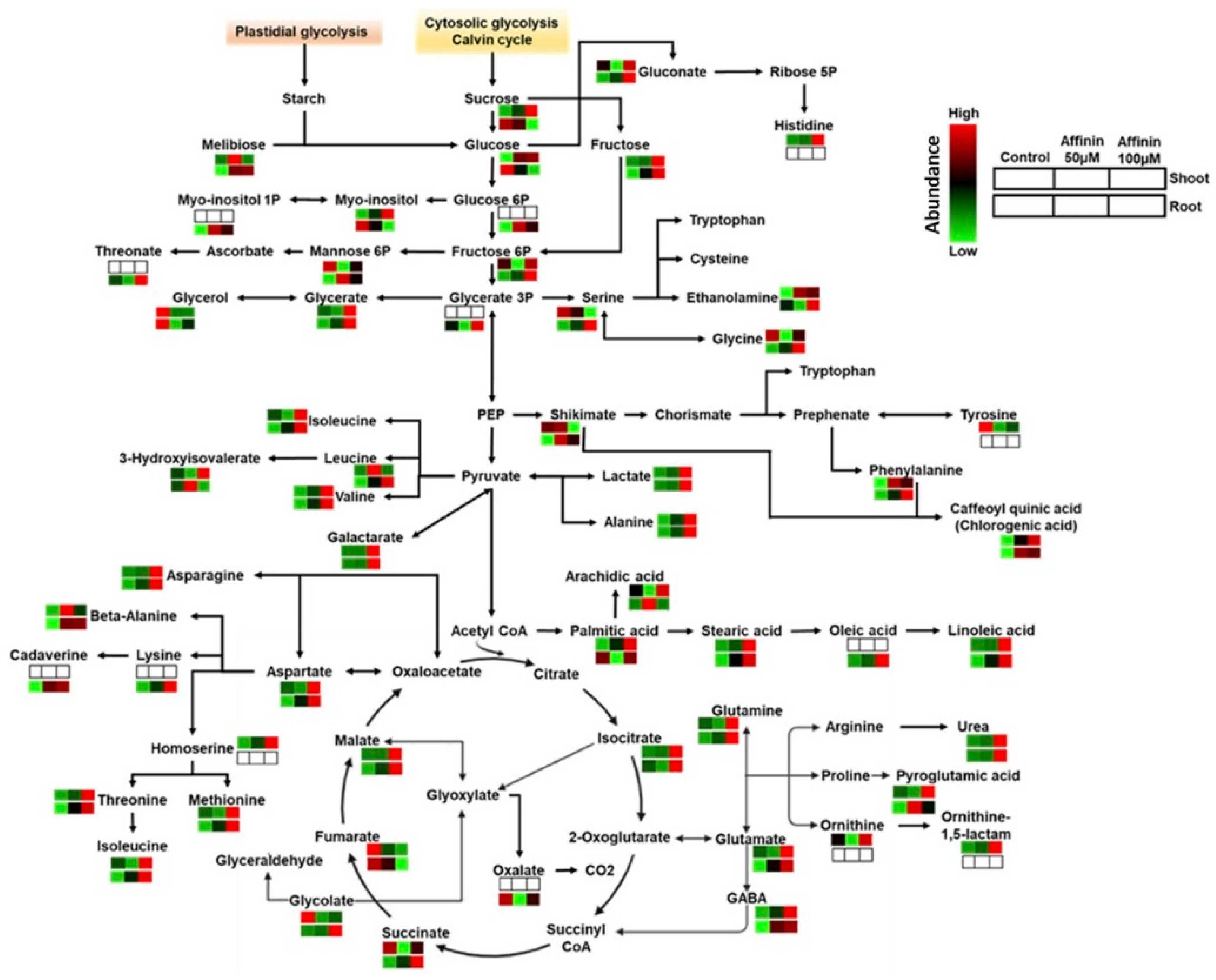 Metabolites 11 00143 g006