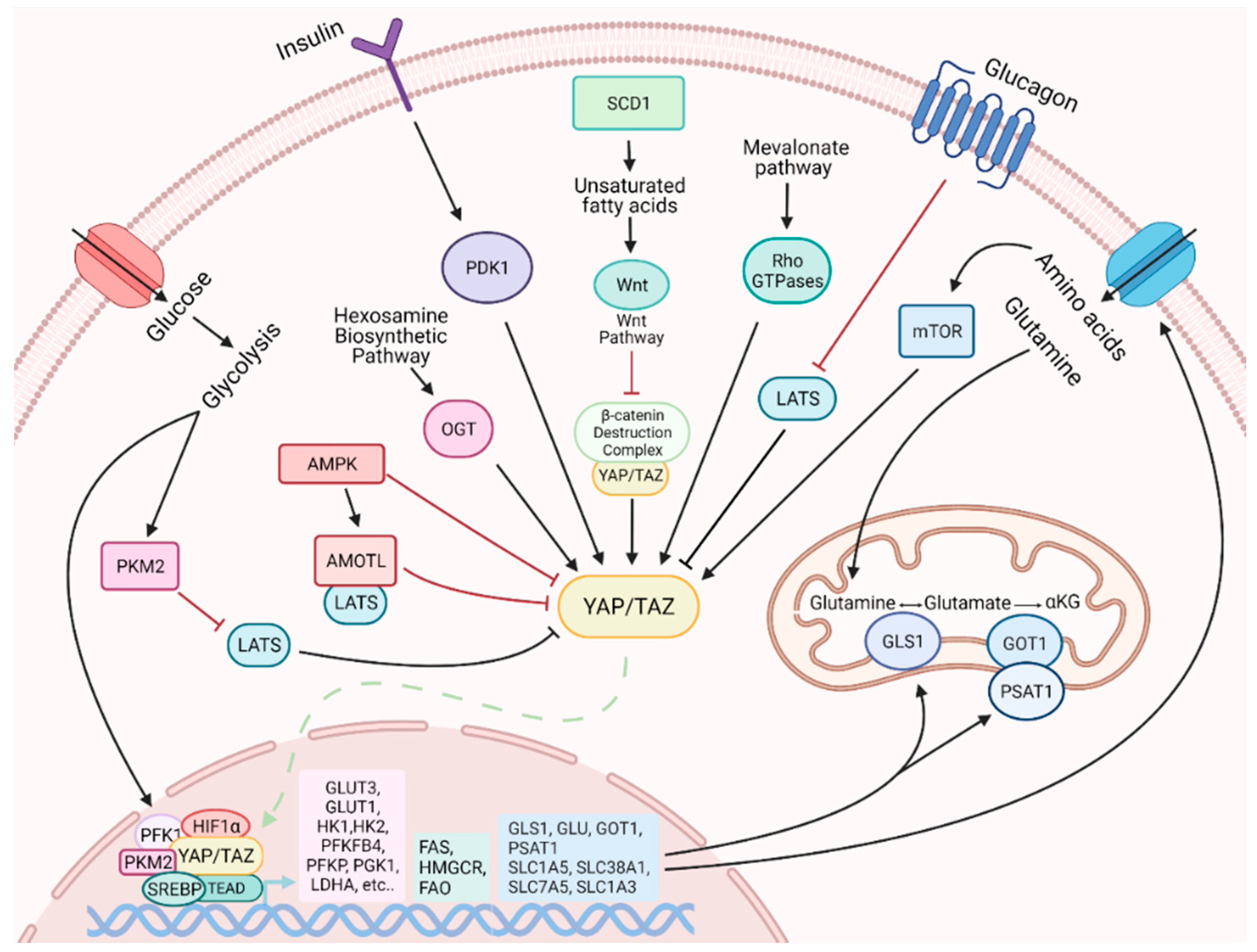 Metabolites 11 00154 g002 Metabolites 11 00154 g002