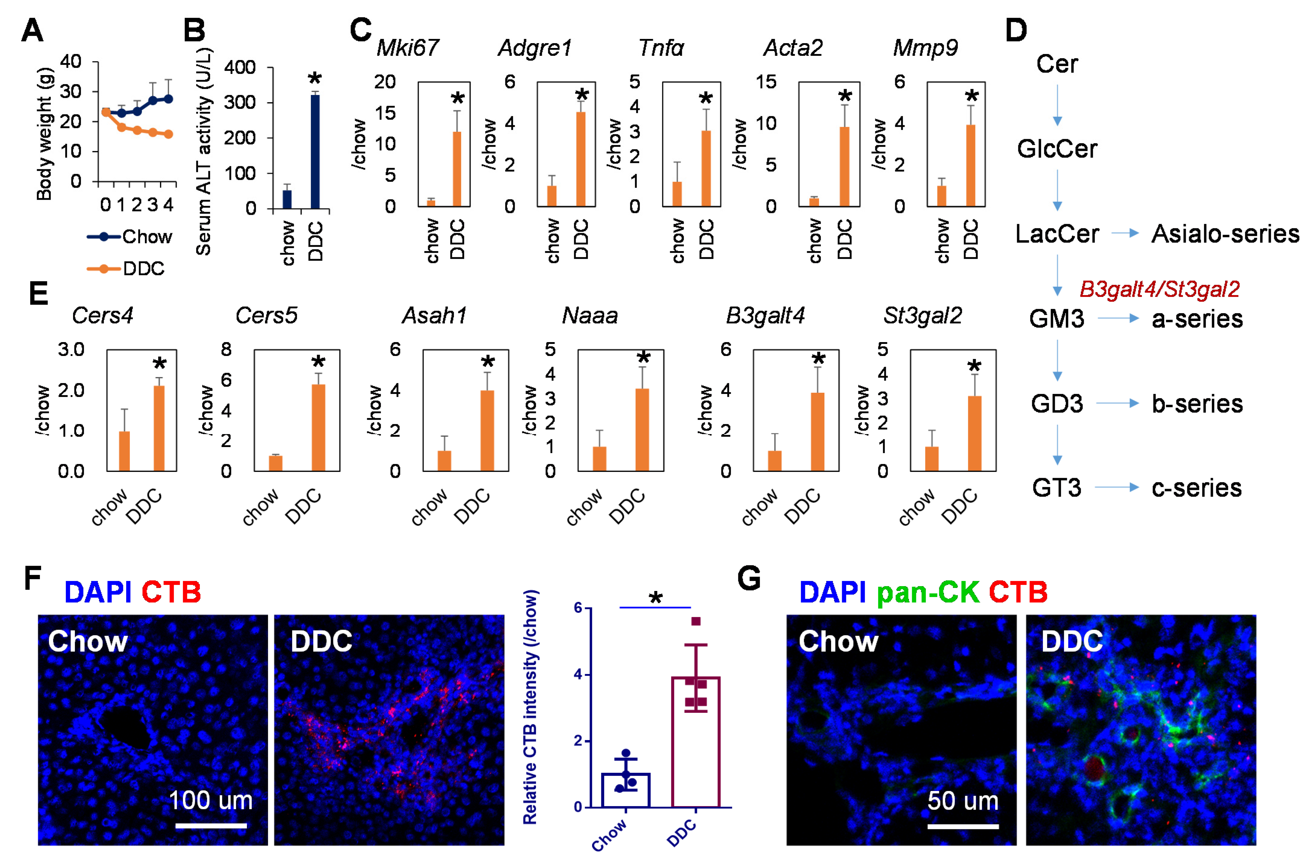 Metabolites 11 00167 g001 Metabolites 11 00167 g001