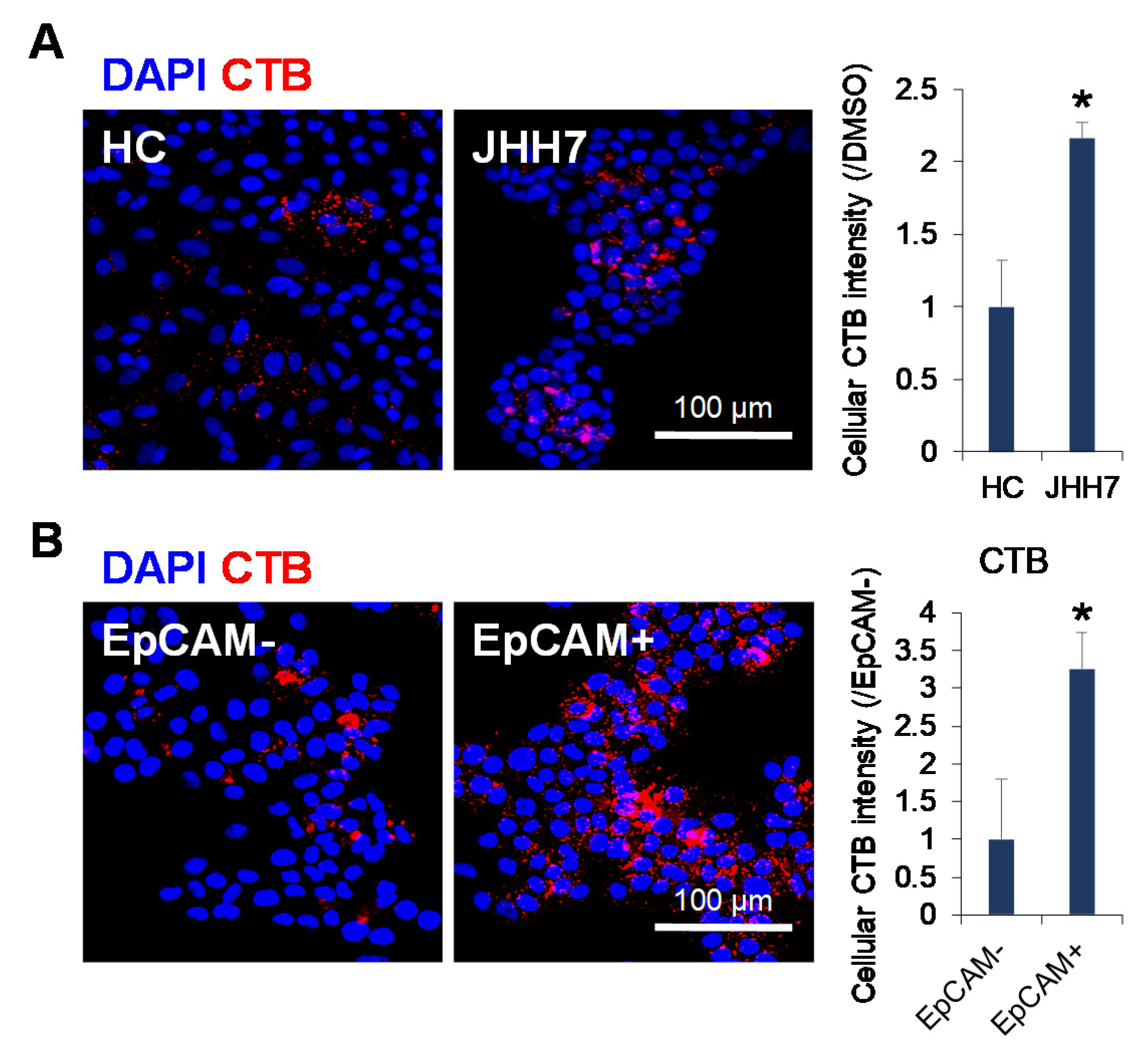 Metabolites 11 00167 g002 Metabolites 11 00167 g002