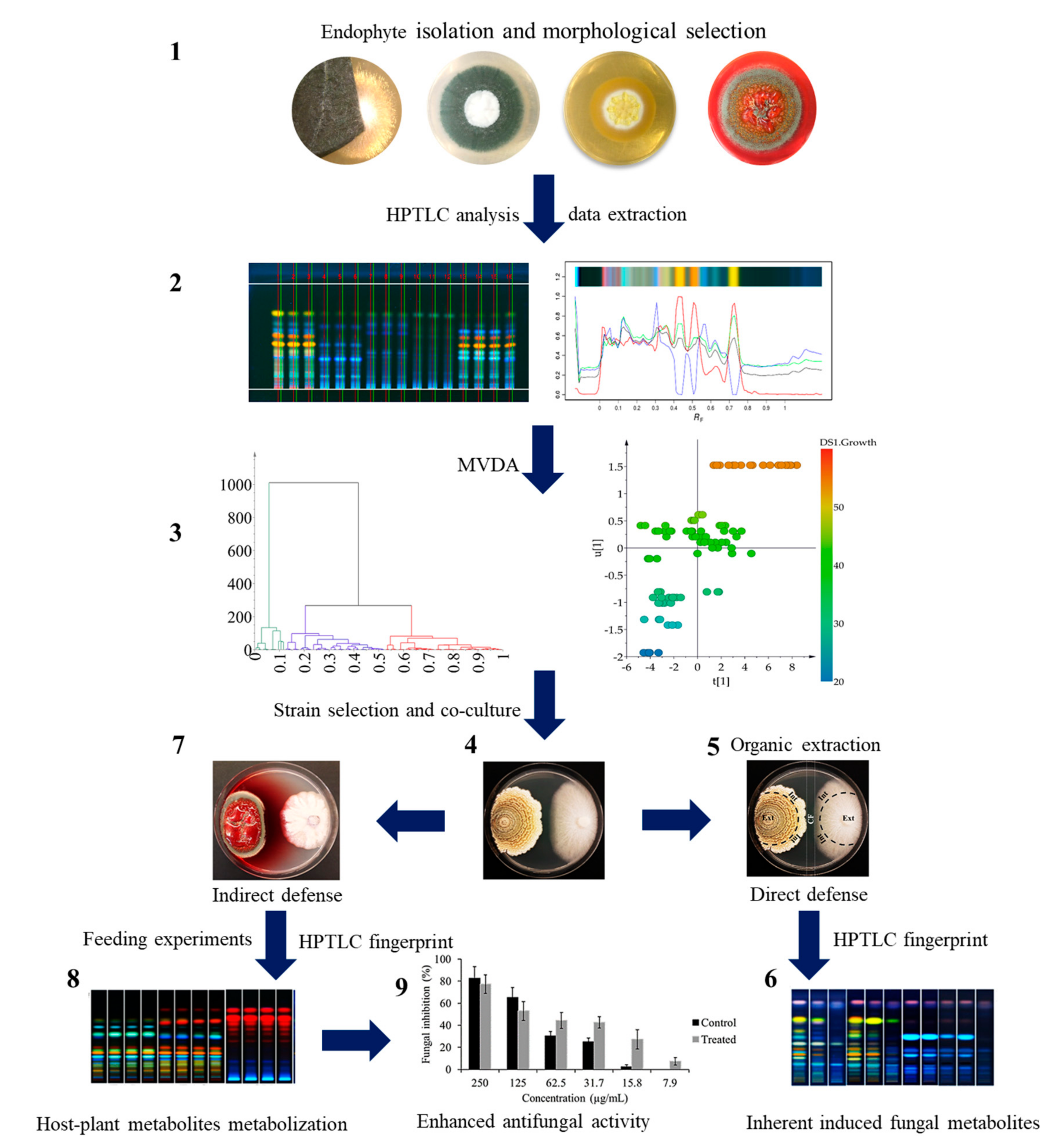 Metabolites 11 00174 g001 Metabolites 11 00174 g001
