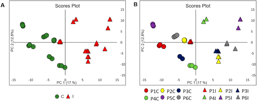 Metabolites 11 00179 g001