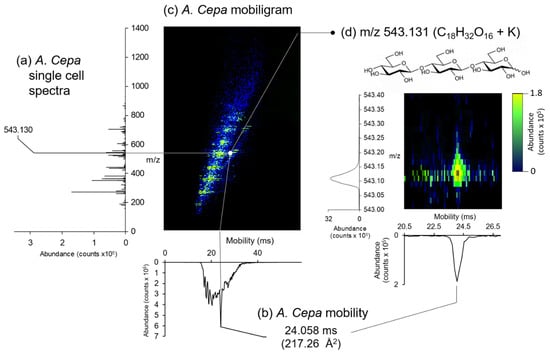 Metabolites Free Full Text Optical Microscopy Guided Laser Ablation Electrospray Ionization Ion Mobility Mass Spectrometry Ambient Single Cell Metabolomics With Increased Confidence In Molecular Identification Html