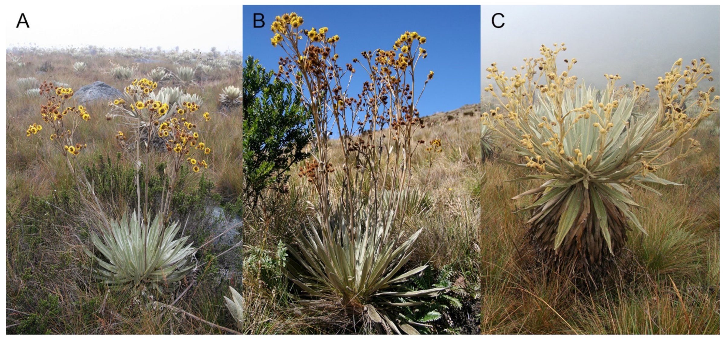 Metabolites 11 00220 g007 Metabolites 11 00220 g007