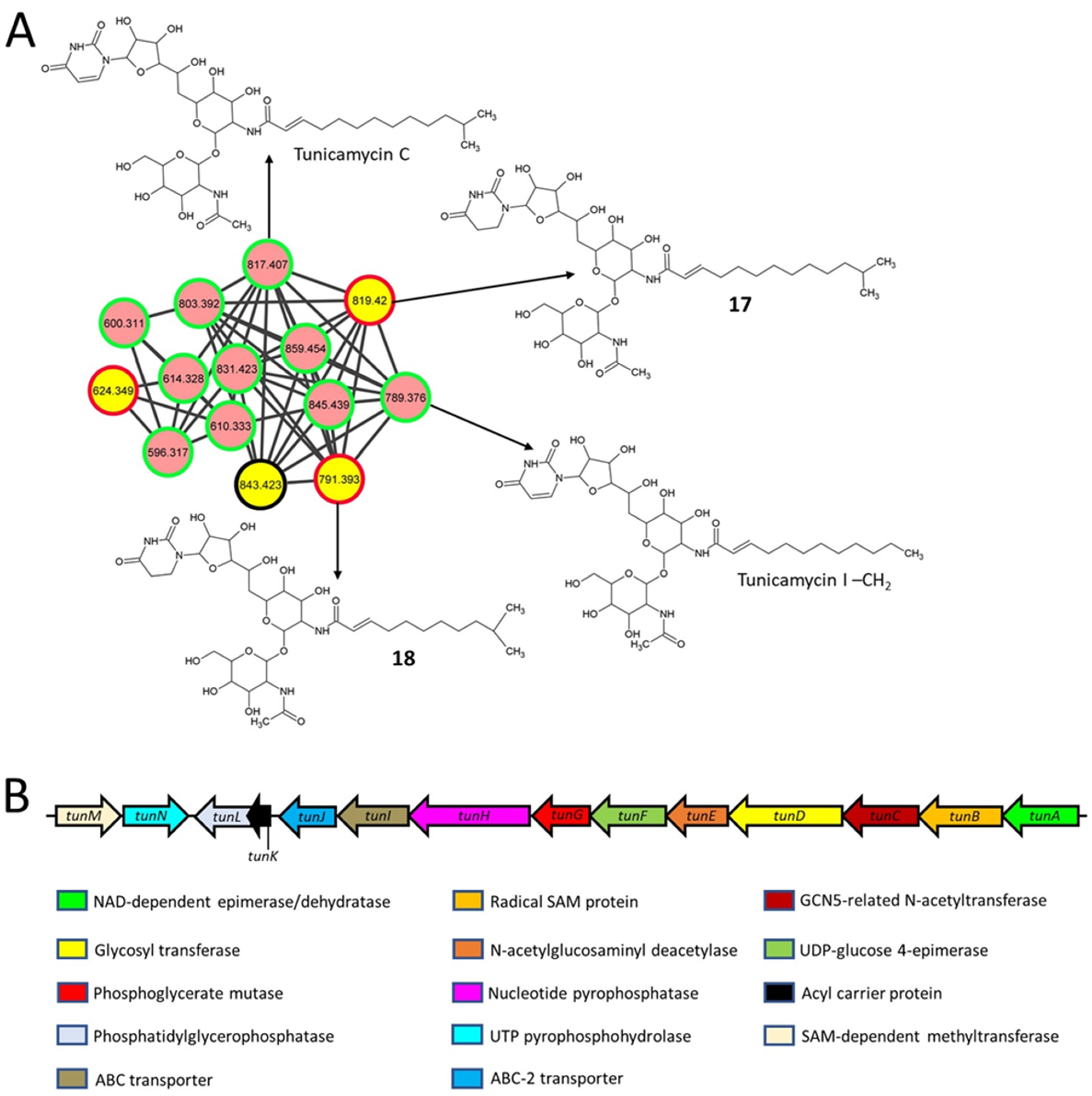 Metabolites 11 00239 g004 Metabolites 11 00239 g004
