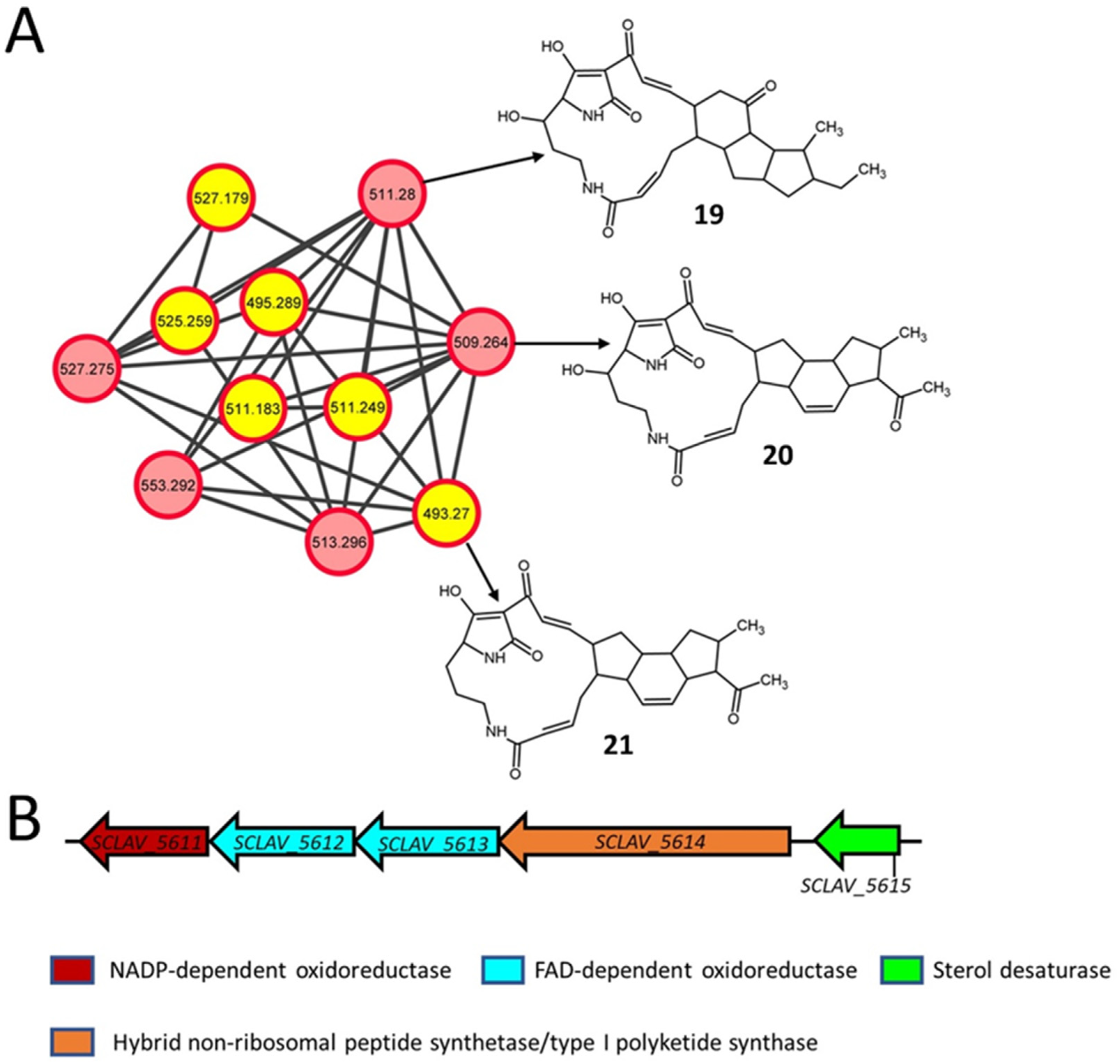 Metabolites 11 00239 g005 Metabolites 11 00239 g005