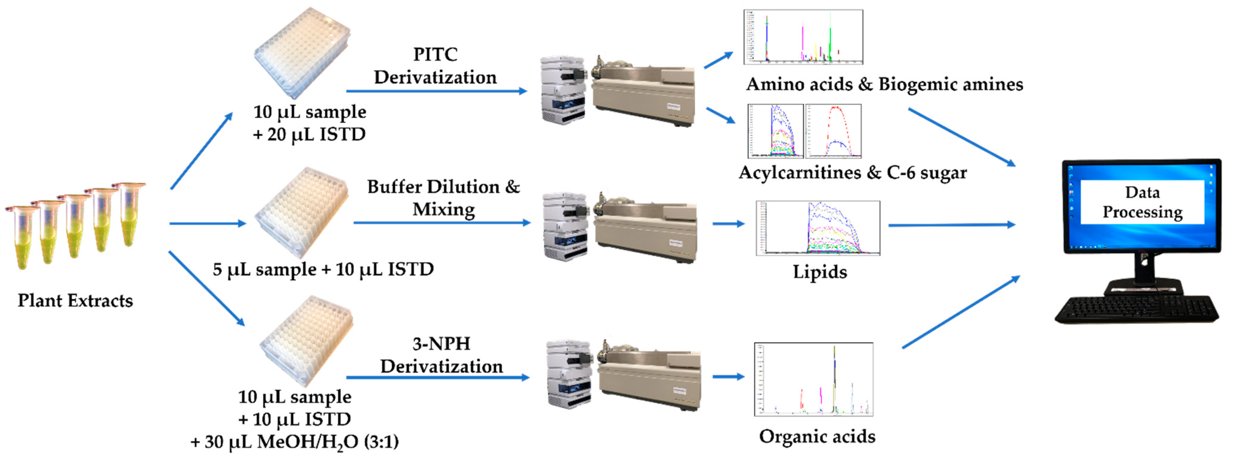 Metabolites 11 00303 g002 Metabolites 11 00303 g002