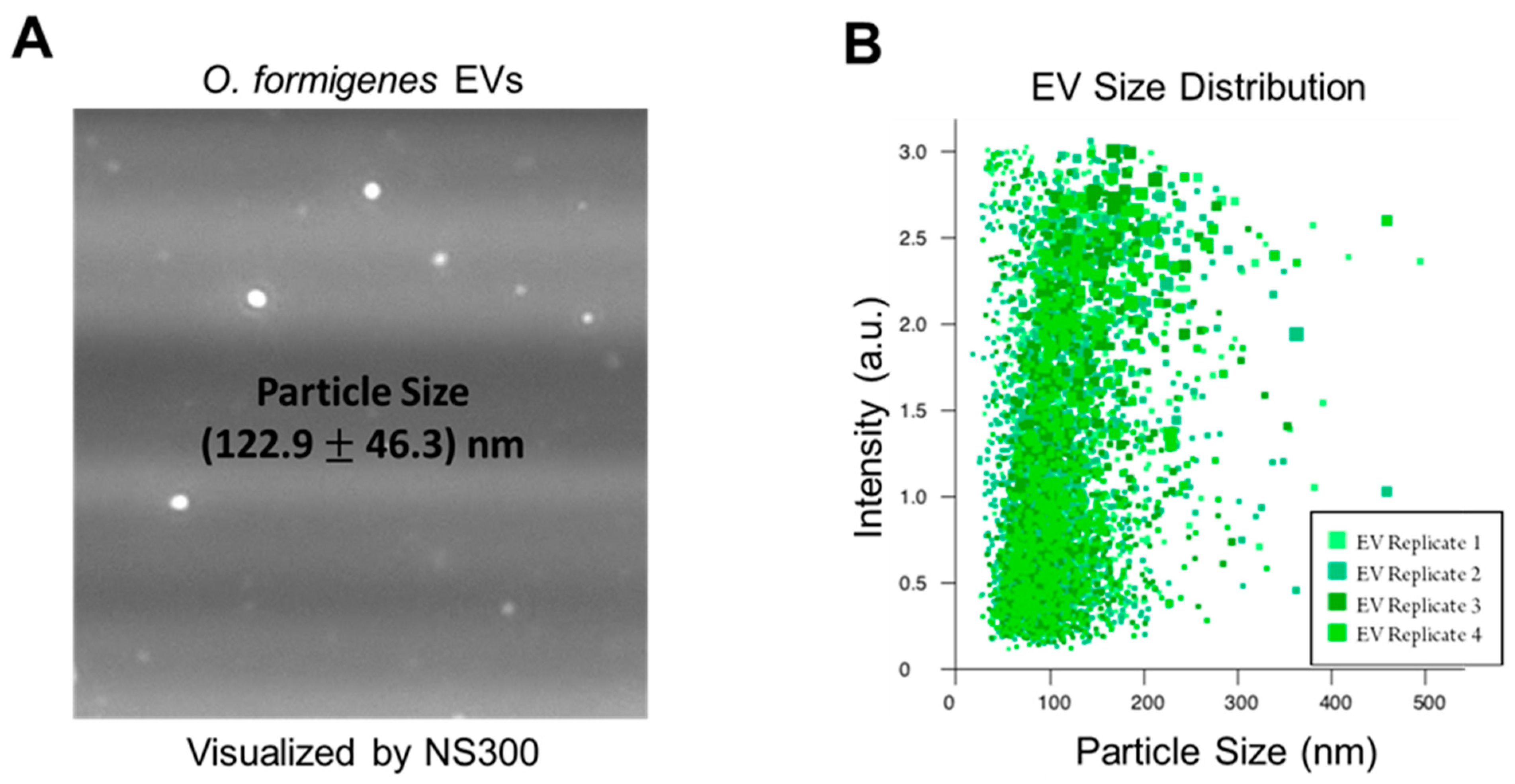 Metabolites 11 00308 g001 Metabolites 11 00308 g001