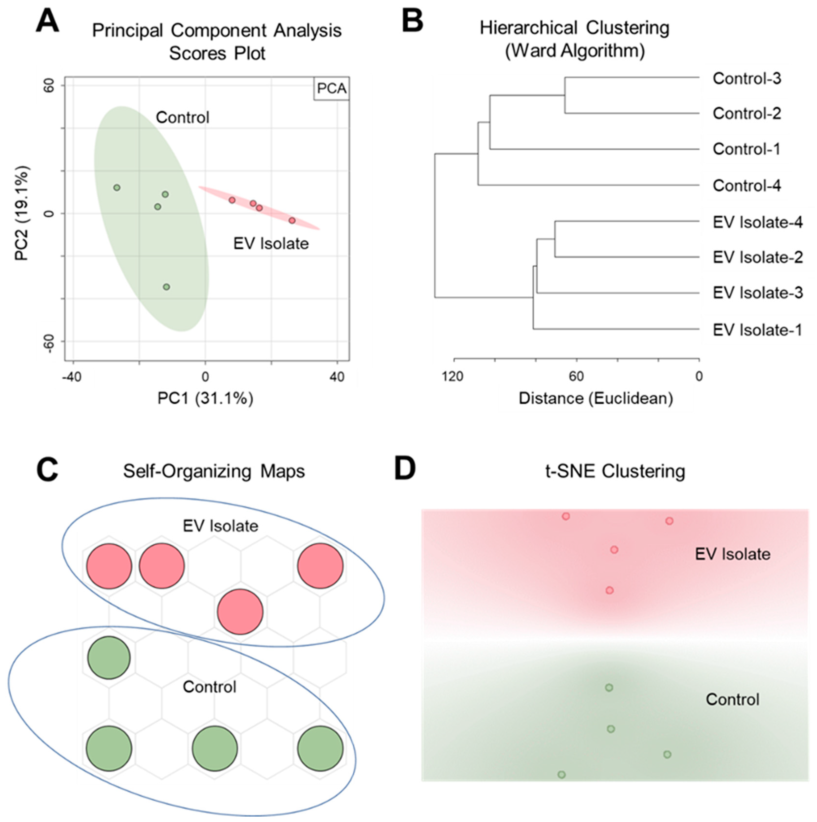Metabolites 11 00308 g002 Metabolites 11 00308 g002