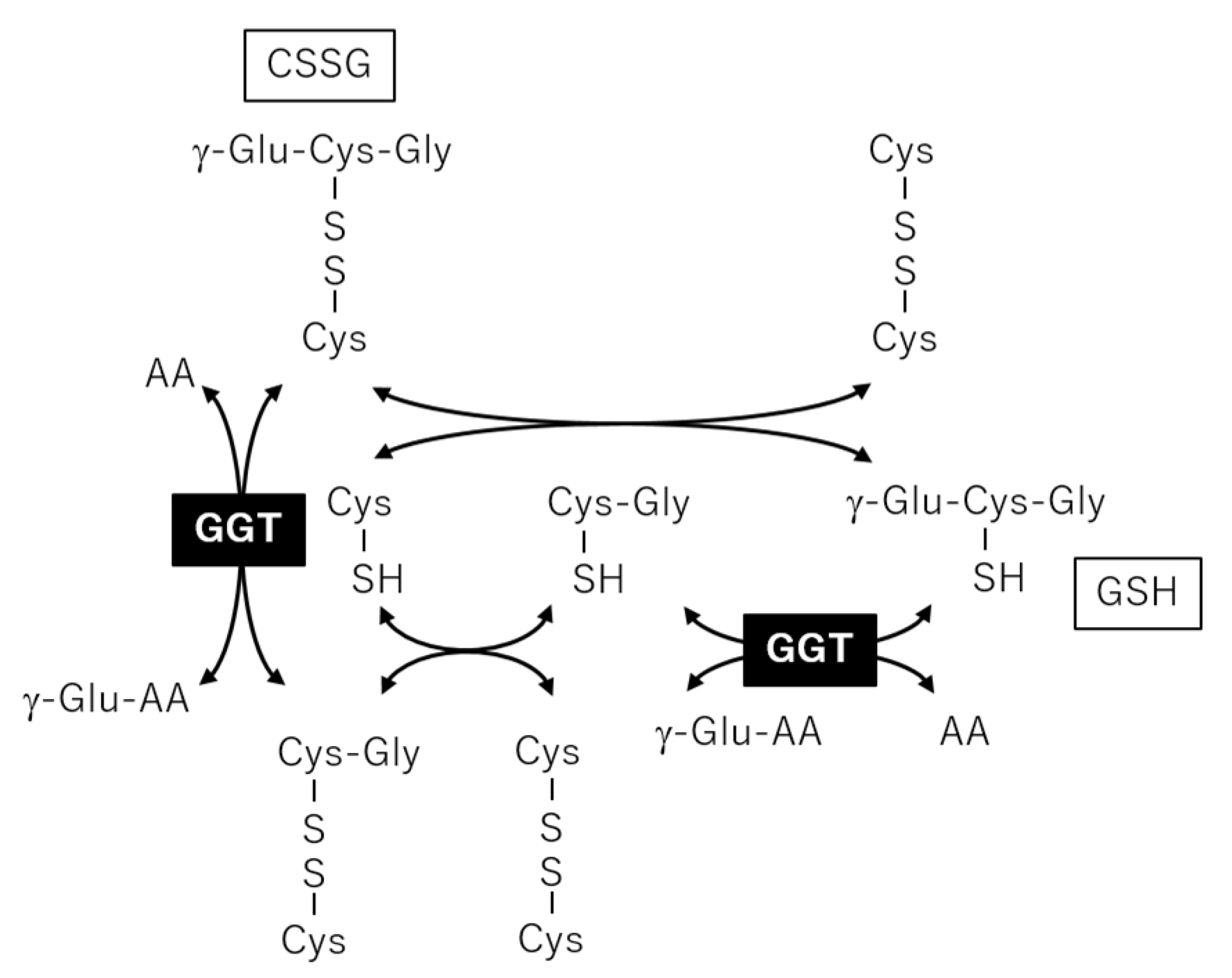Metabolites 11 00314 g007 Metabolites 11 00314 g007