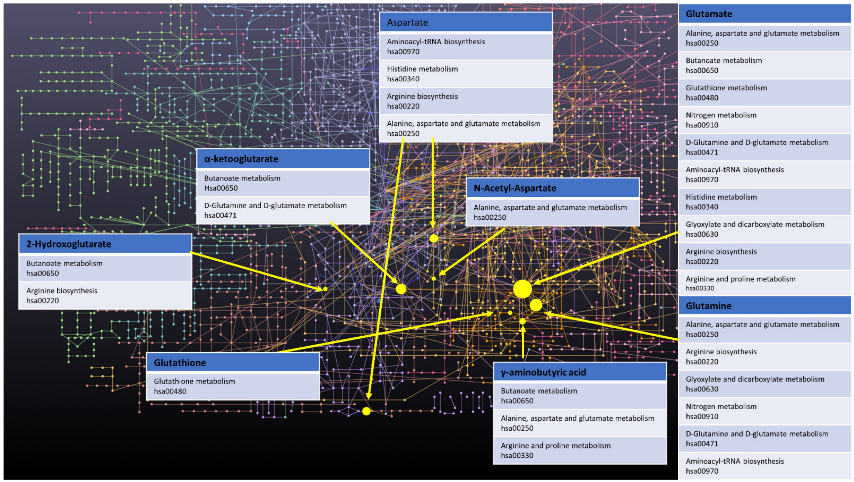 Metabolites 11 00315 g001 Metabolites 11 00315 g001